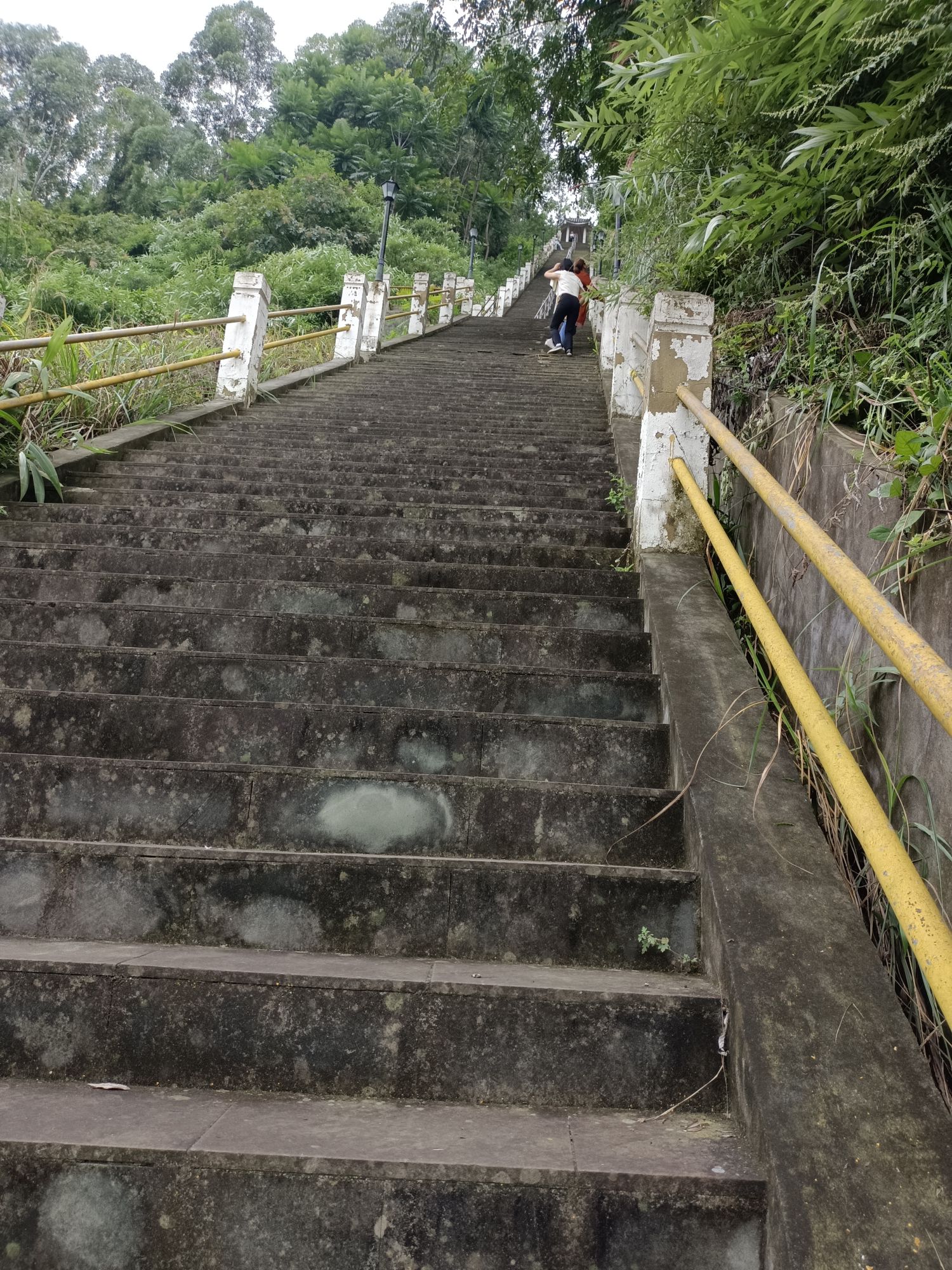 晋凤天梯旅行图片 2
