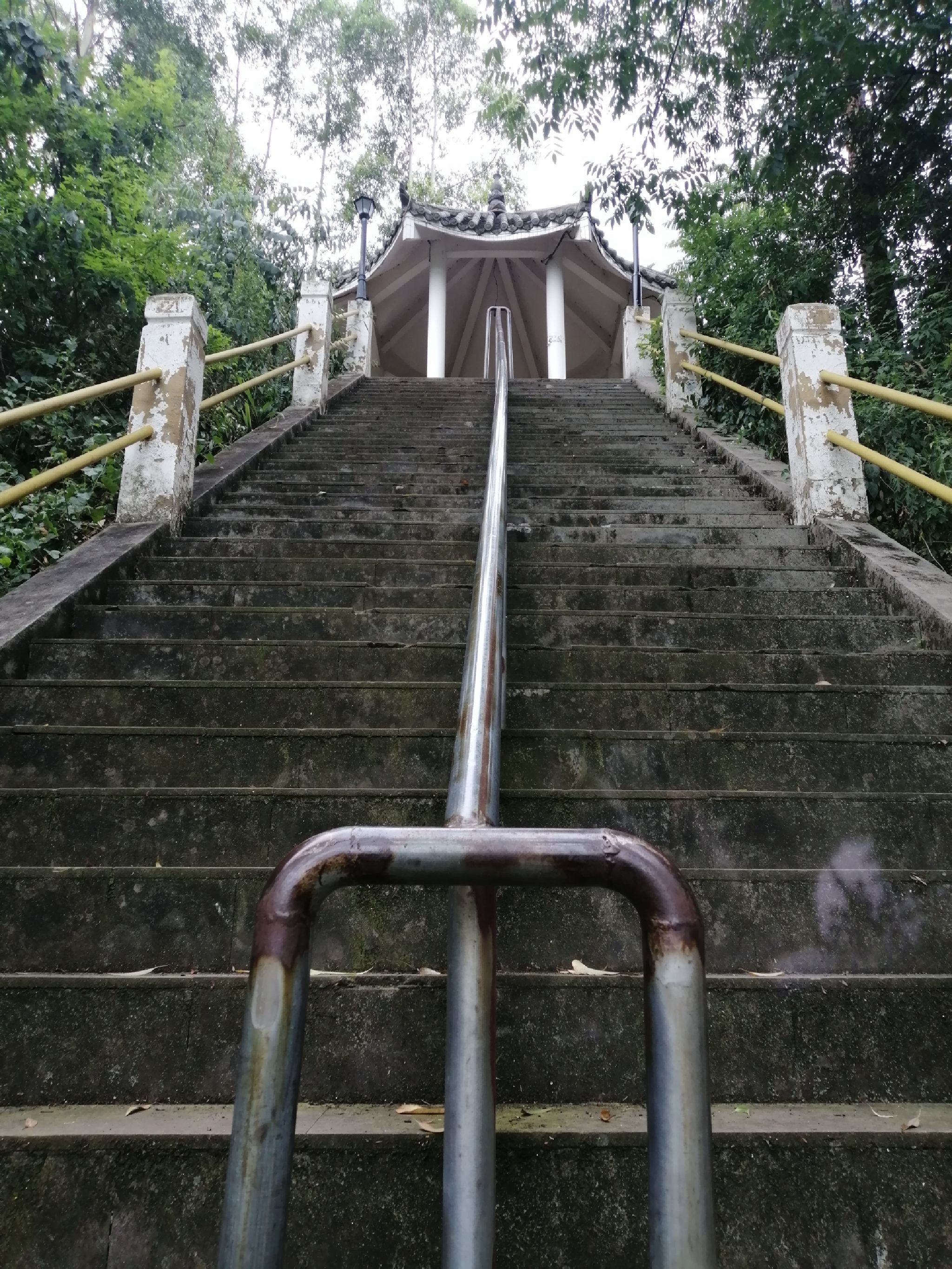 晋凤天梯旅行图片 1