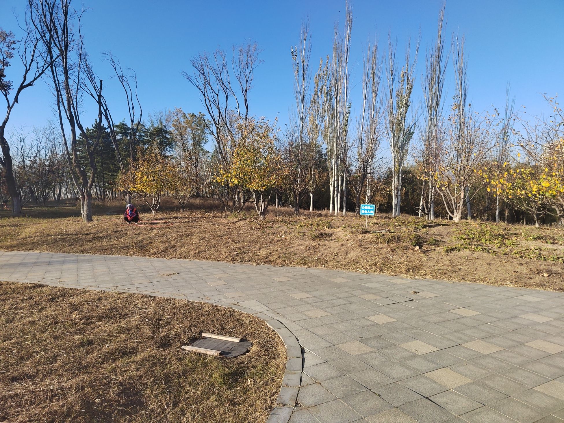 中央公园旅行图片 3