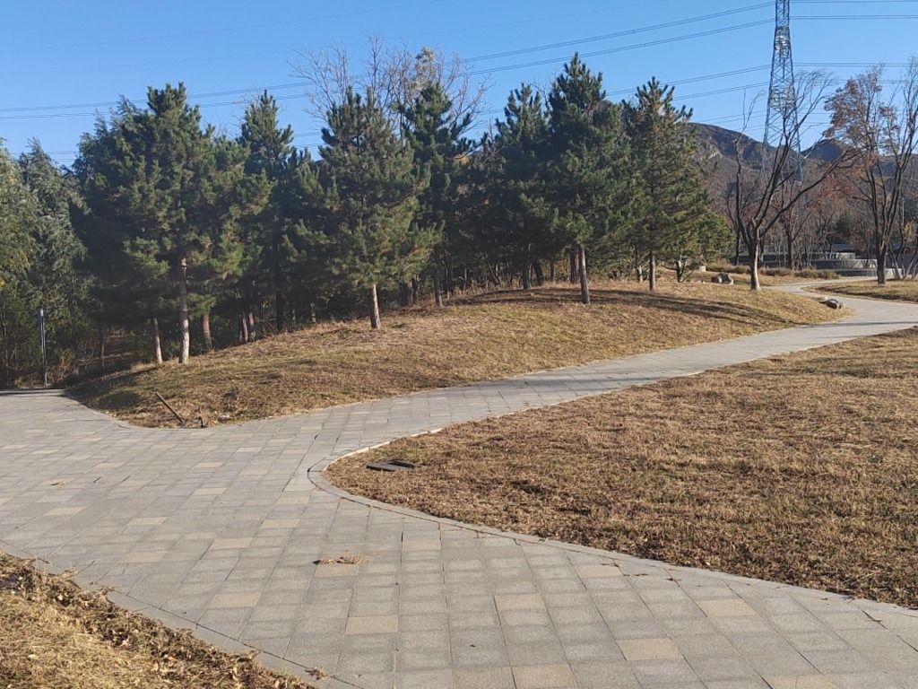 中央公园旅行图片 1