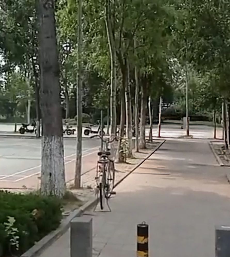 健身公园旅行图片 2