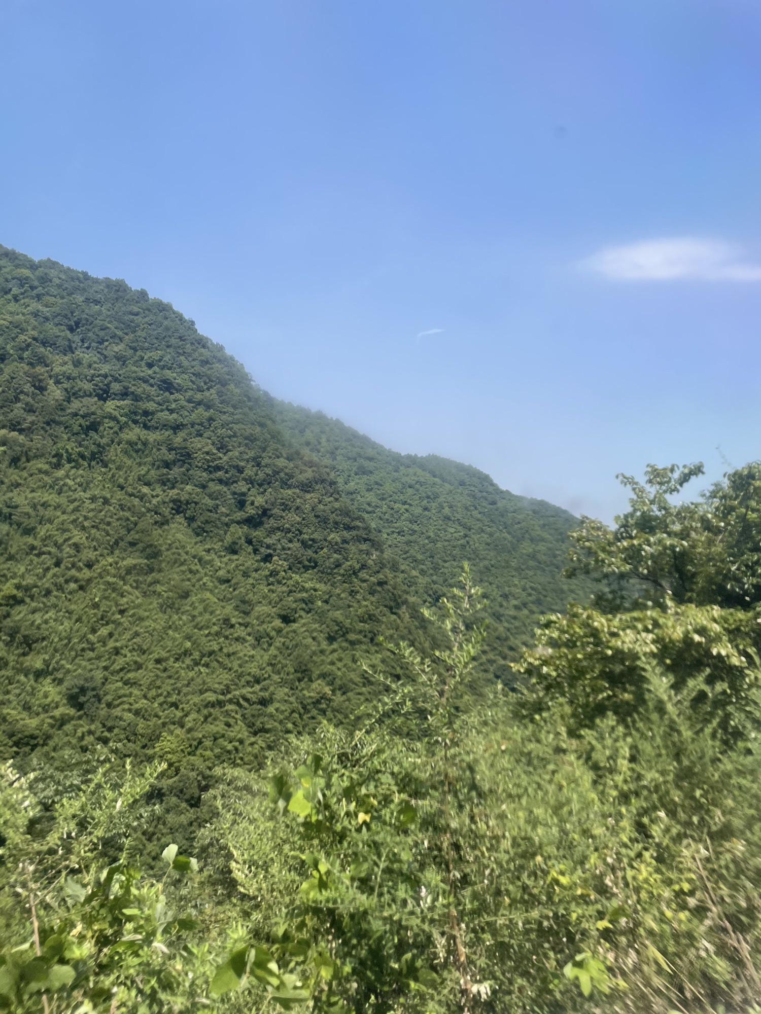 杨家河避暑旅行图片 1