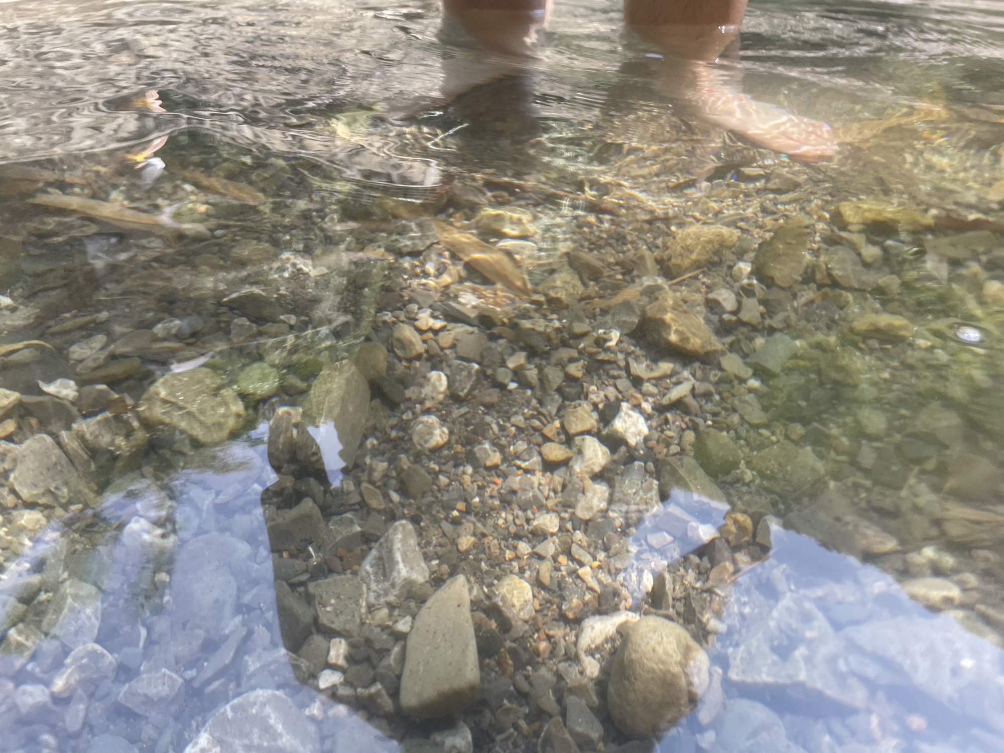 杨家河避暑旅行图片 3