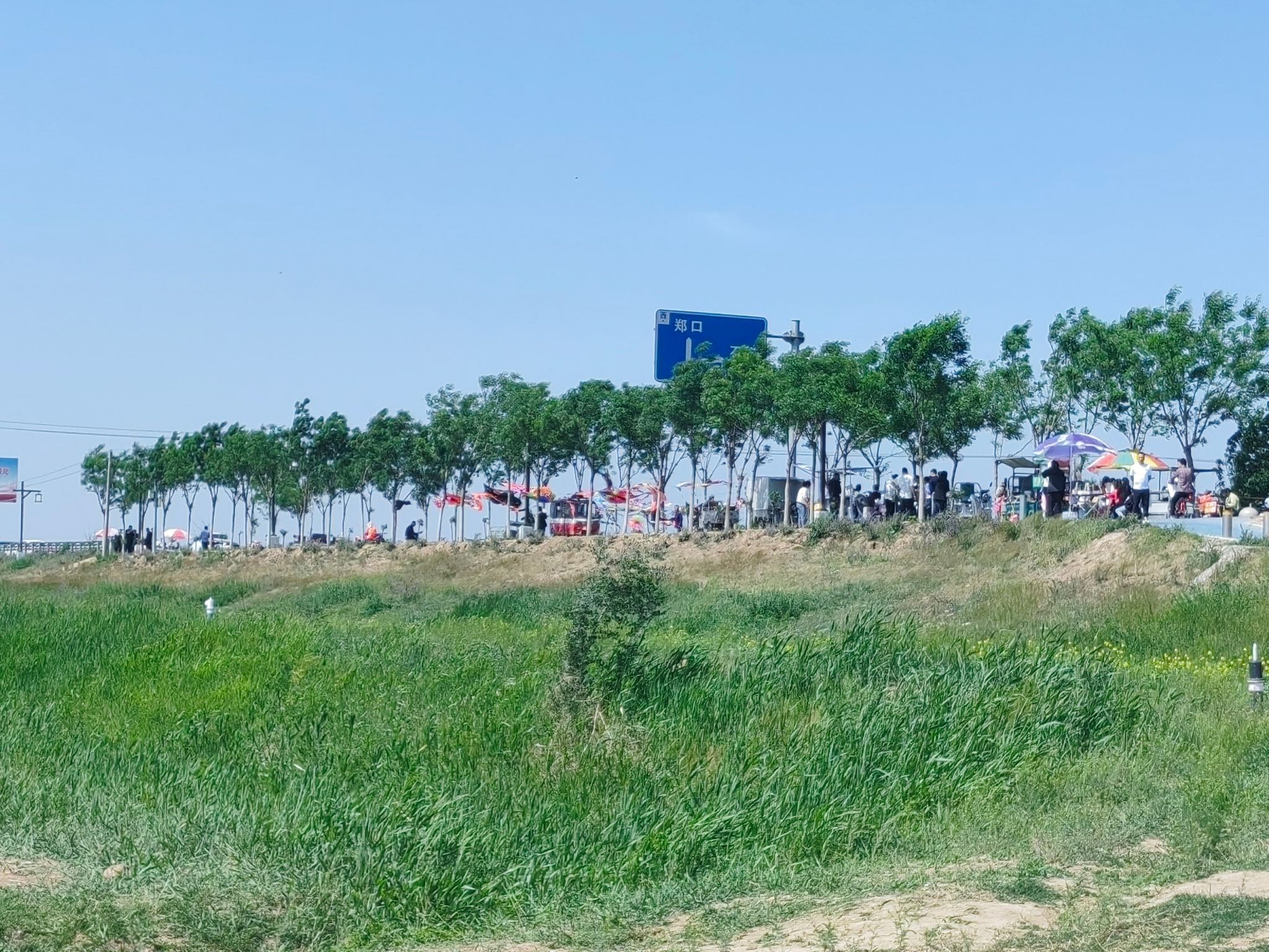 运河故城万亩花海旅行图片 1