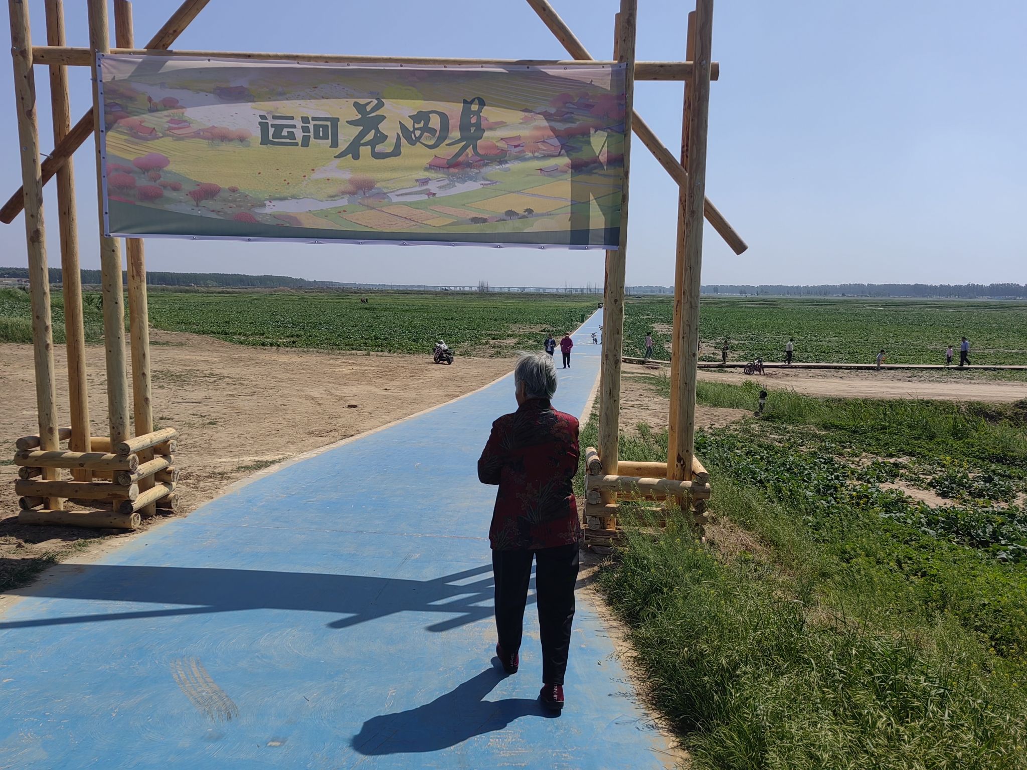 运河故城万亩花海旅行图片 3