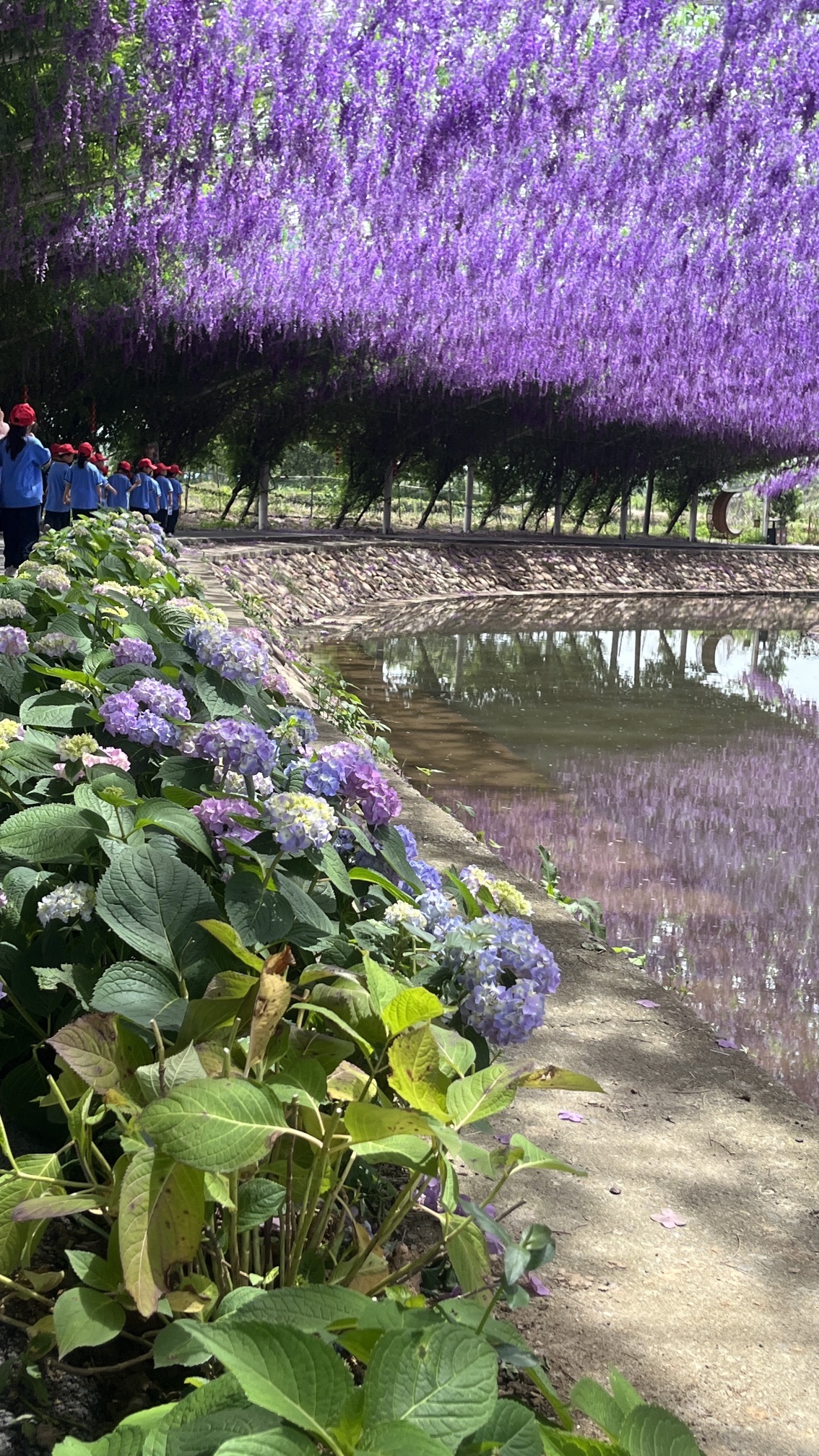 庐山花溪谷旅行图片 2