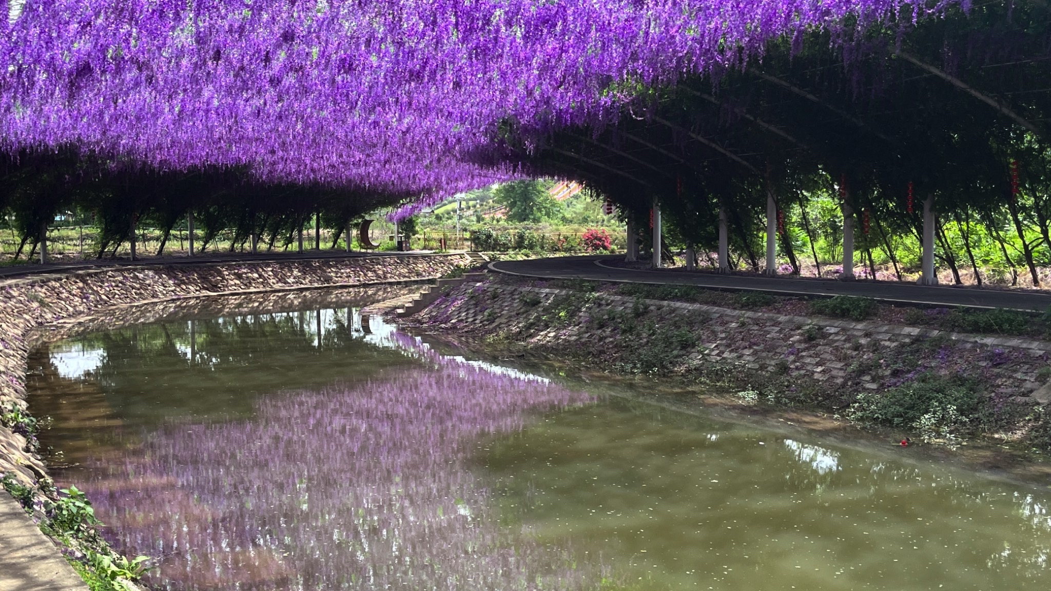 庐山花溪谷旅行图片 1