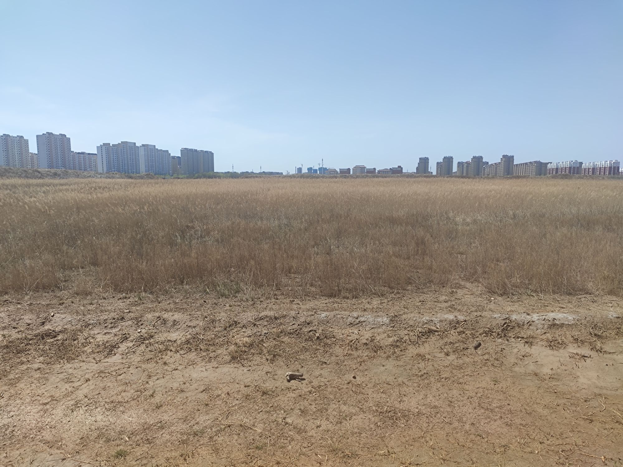 郛堤城遗址公园旅行图片 3