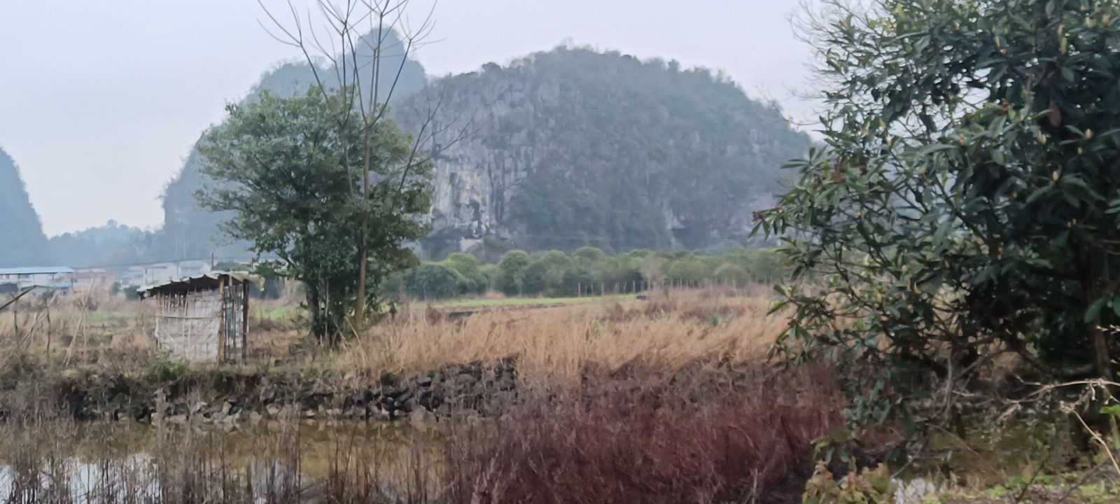 象鼻山(公象)旅行图片 1