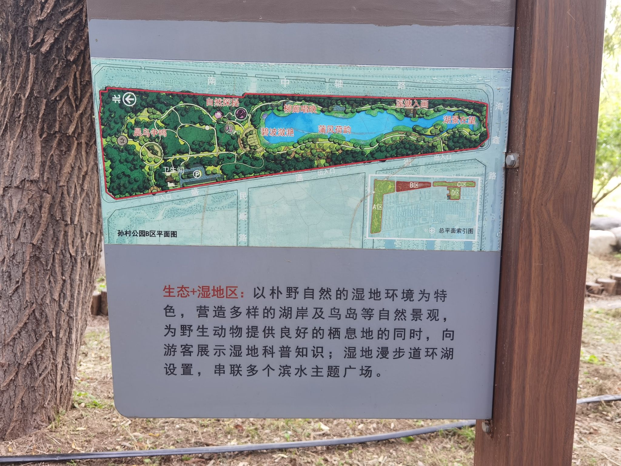 孙村公园旅行图片 3