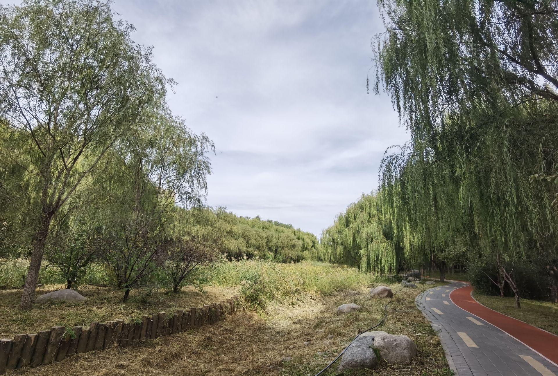 孙村公园旅行图片 2