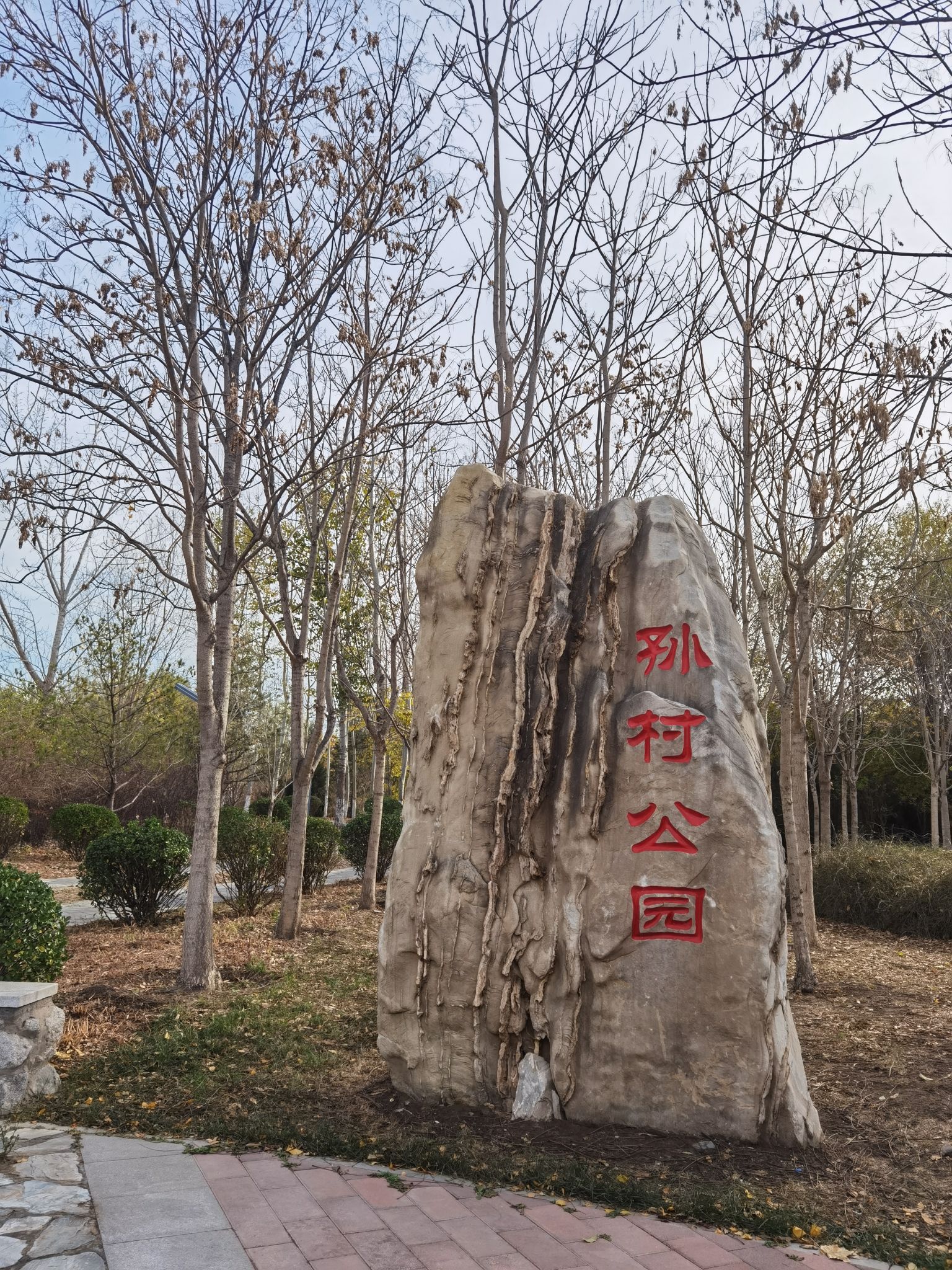 孙村公园旅行图片 1