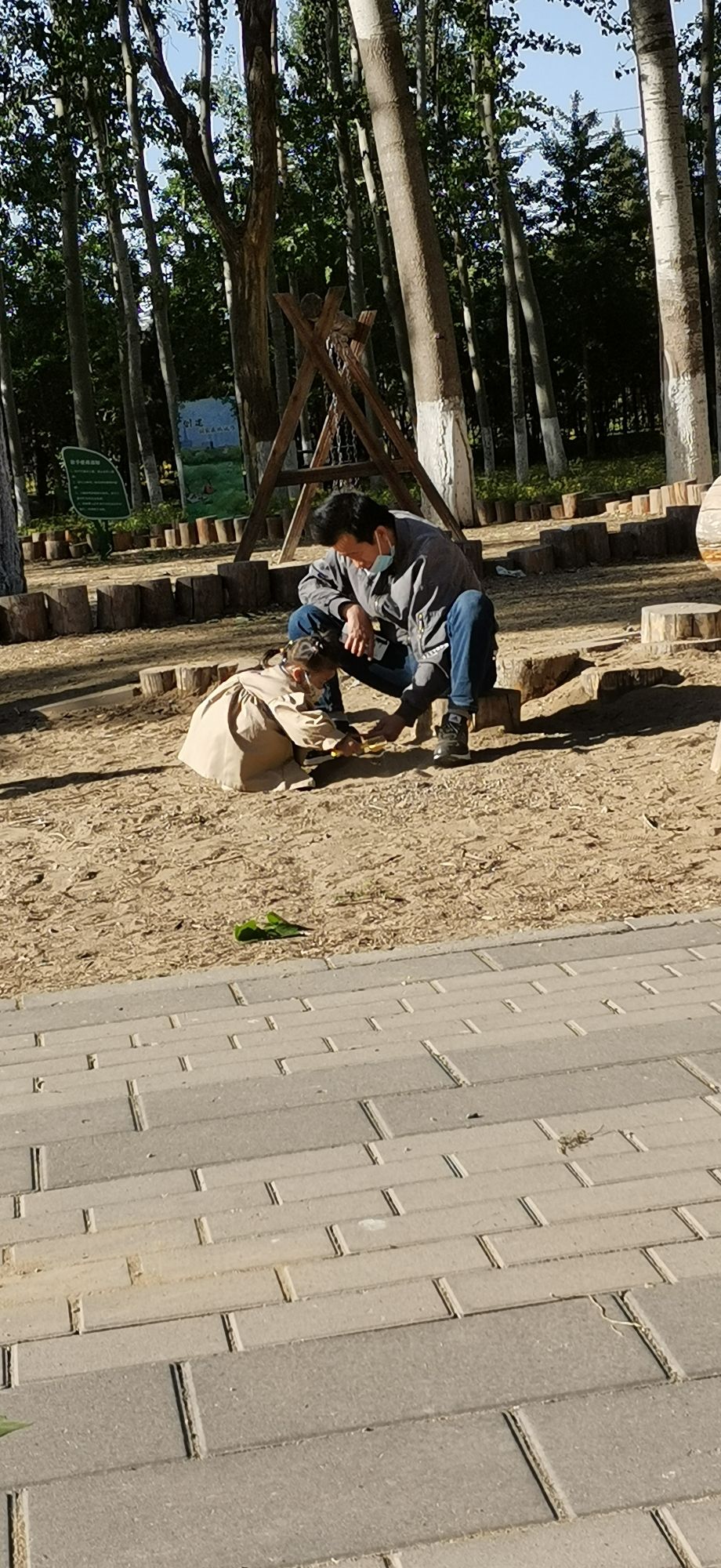孙村公园旅行图片 3