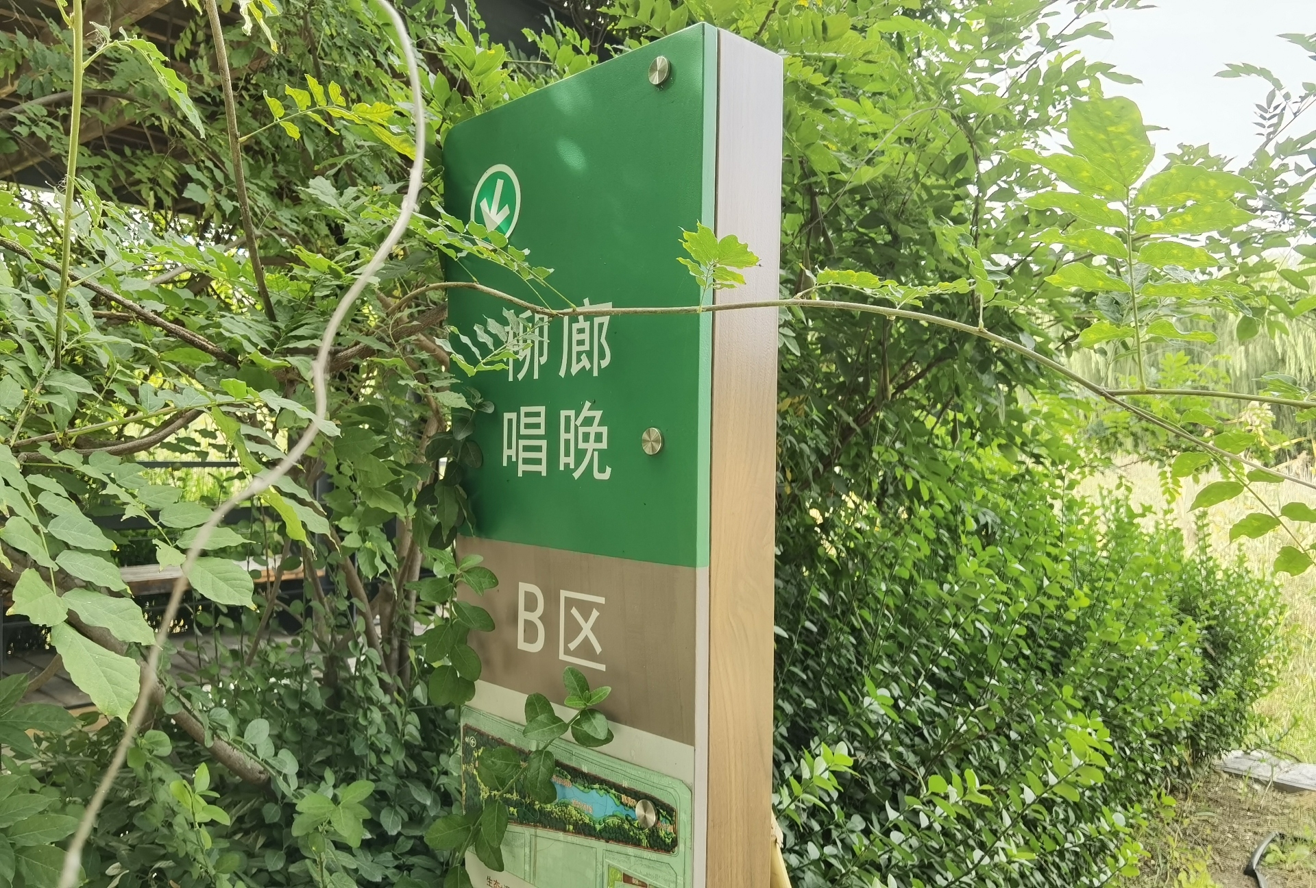 孙村公园旅行图片 3