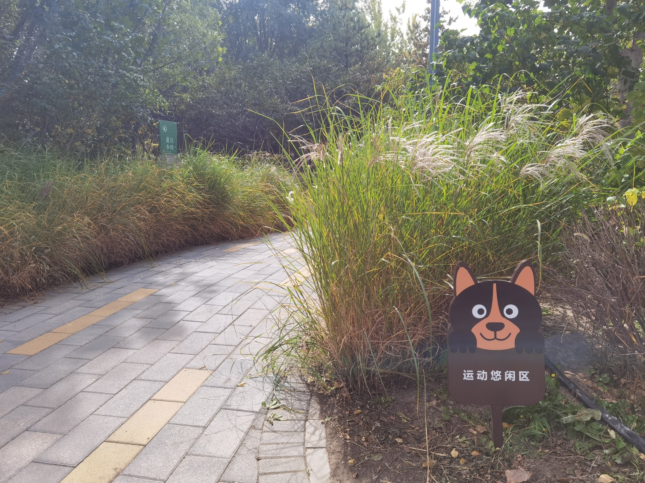 孙村公园旅行图片 2