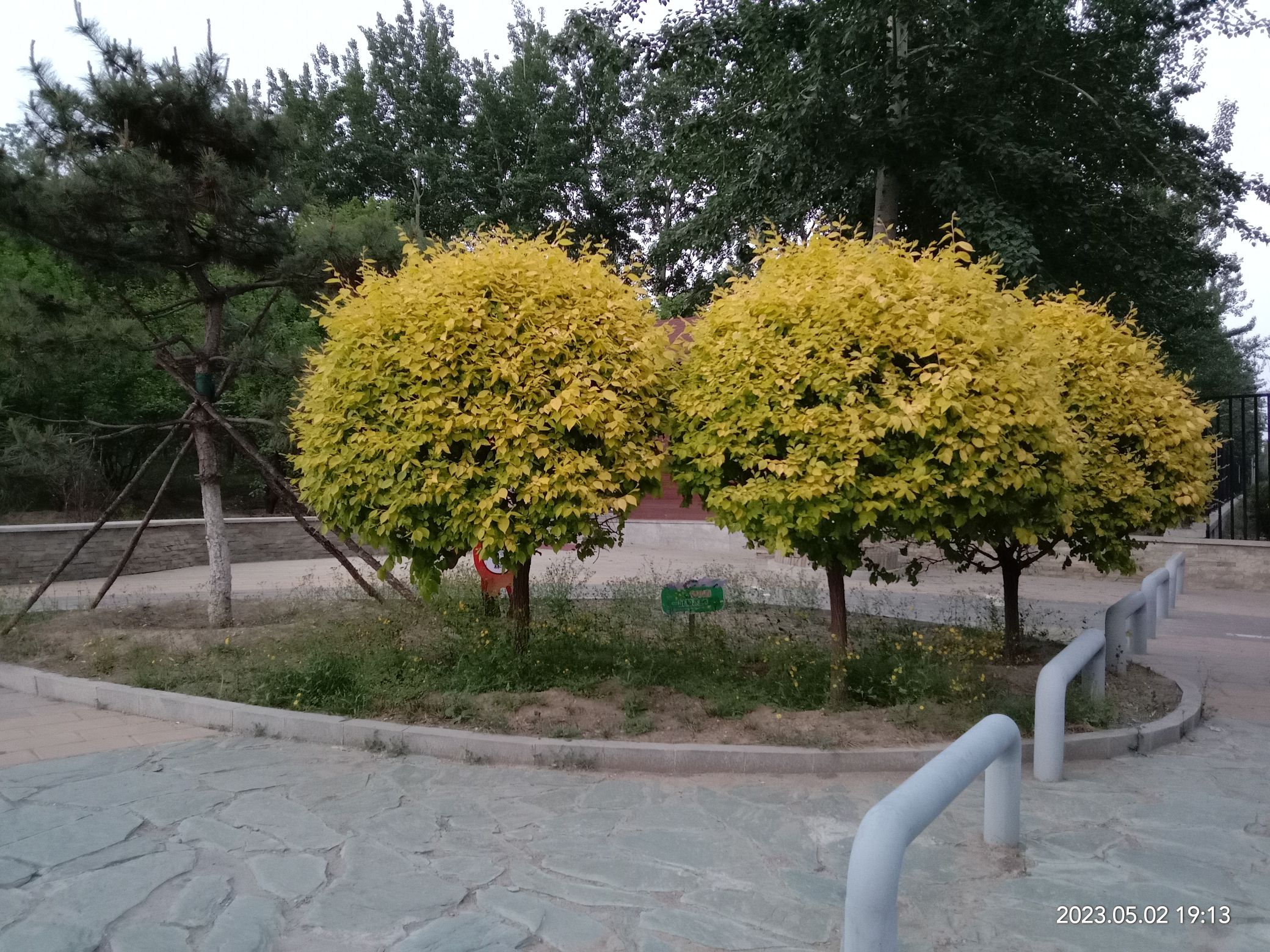 孙村公园旅行图片 2