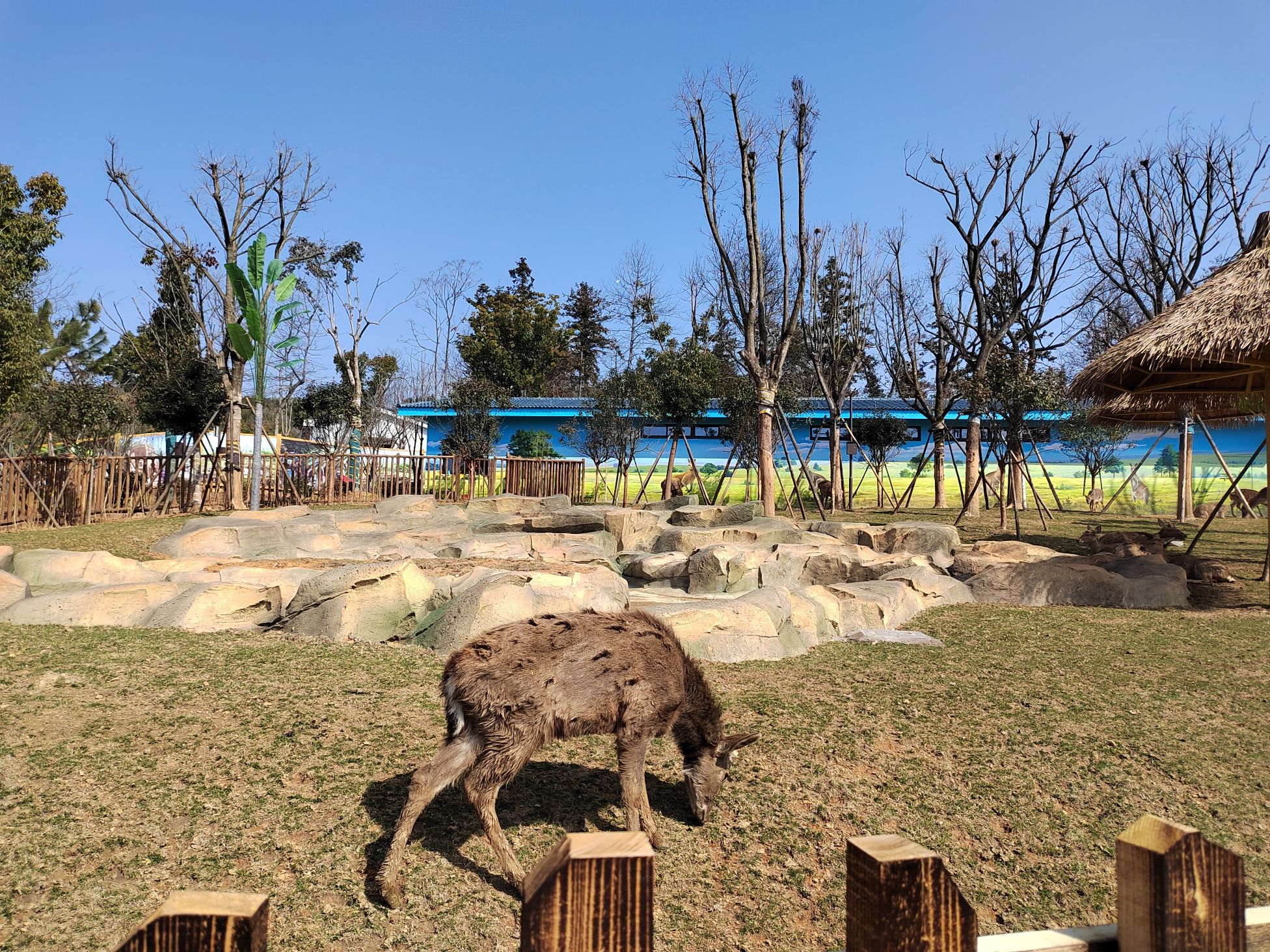 兰亭森林动物王国旅行图片 2