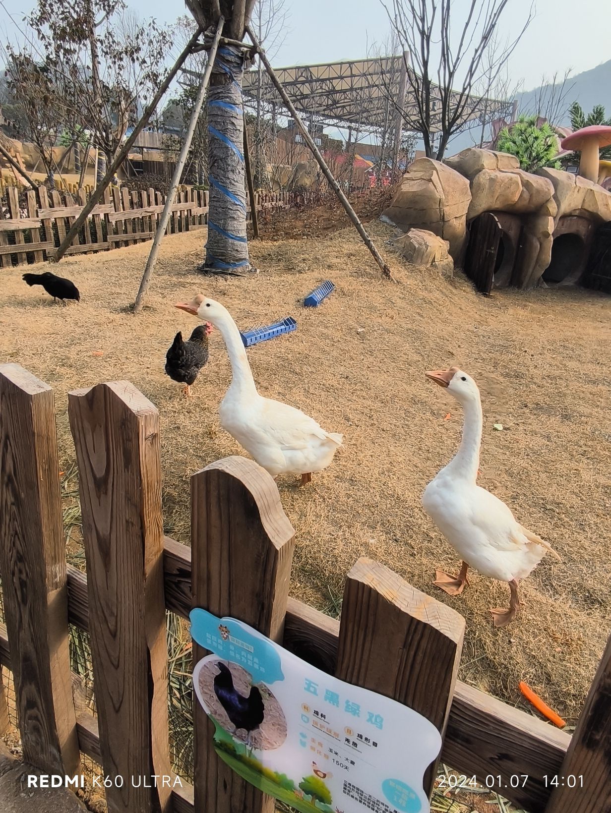 兰亭森林动物王国旅行图片 2