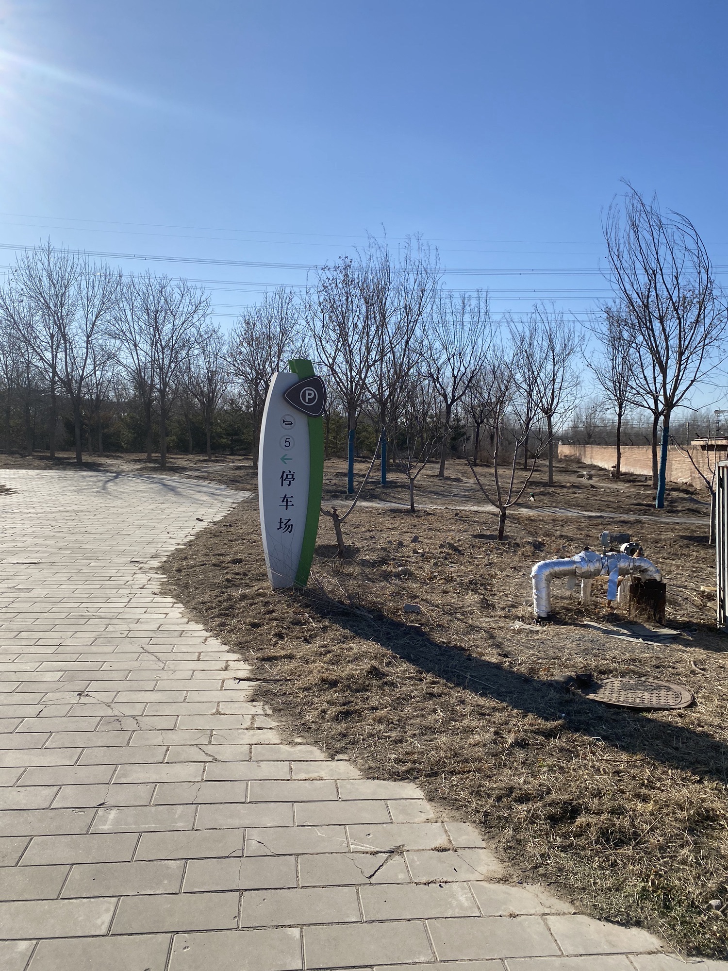 狼垡城市森林公园旅行图片 1