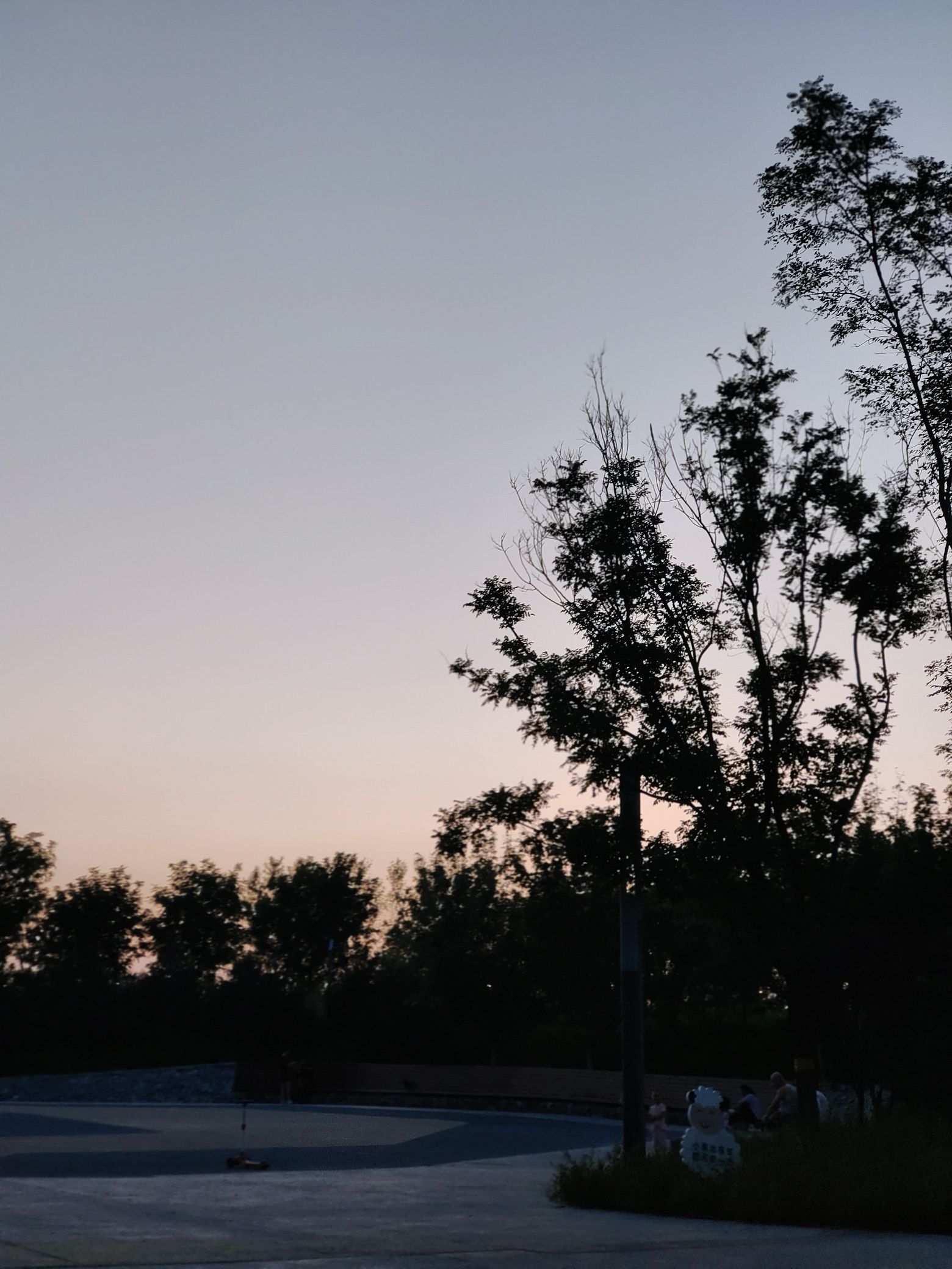狼垡城市森林公园旅行图片 3