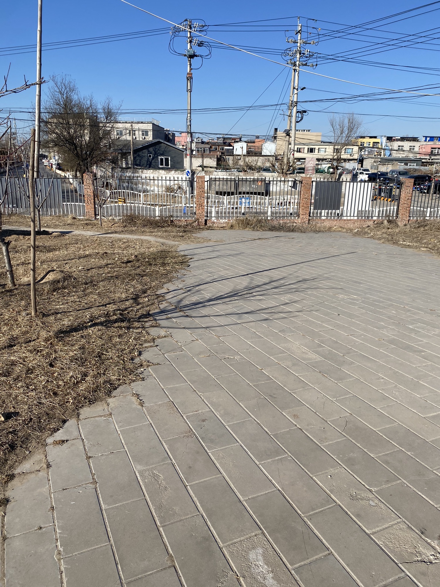 狼垡城市森林公园旅行图片 2