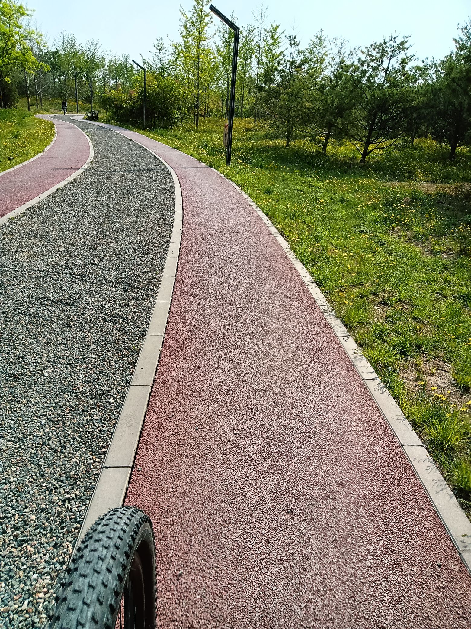 狼垡城市森林公园旅行图片 2