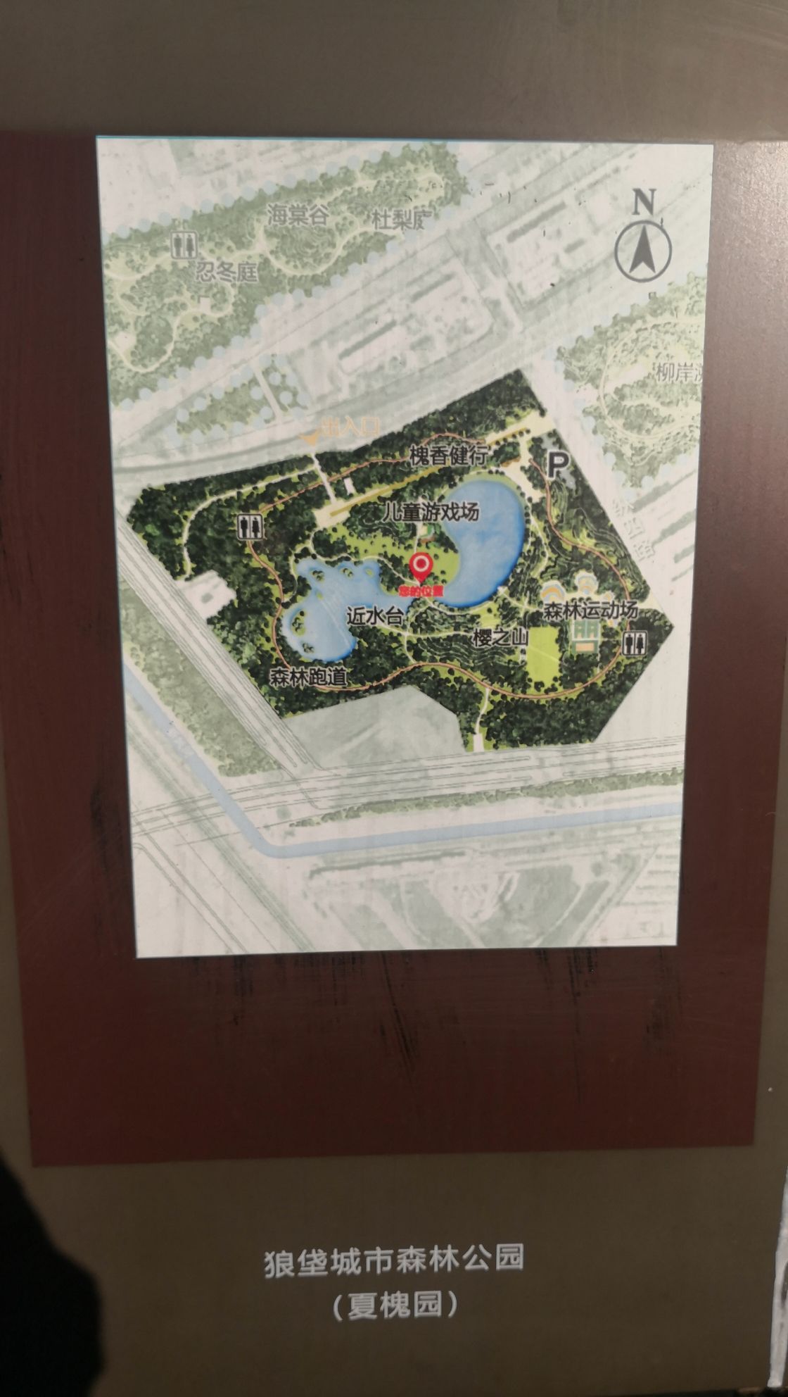 狼垡城市森林公园旅行图片 2