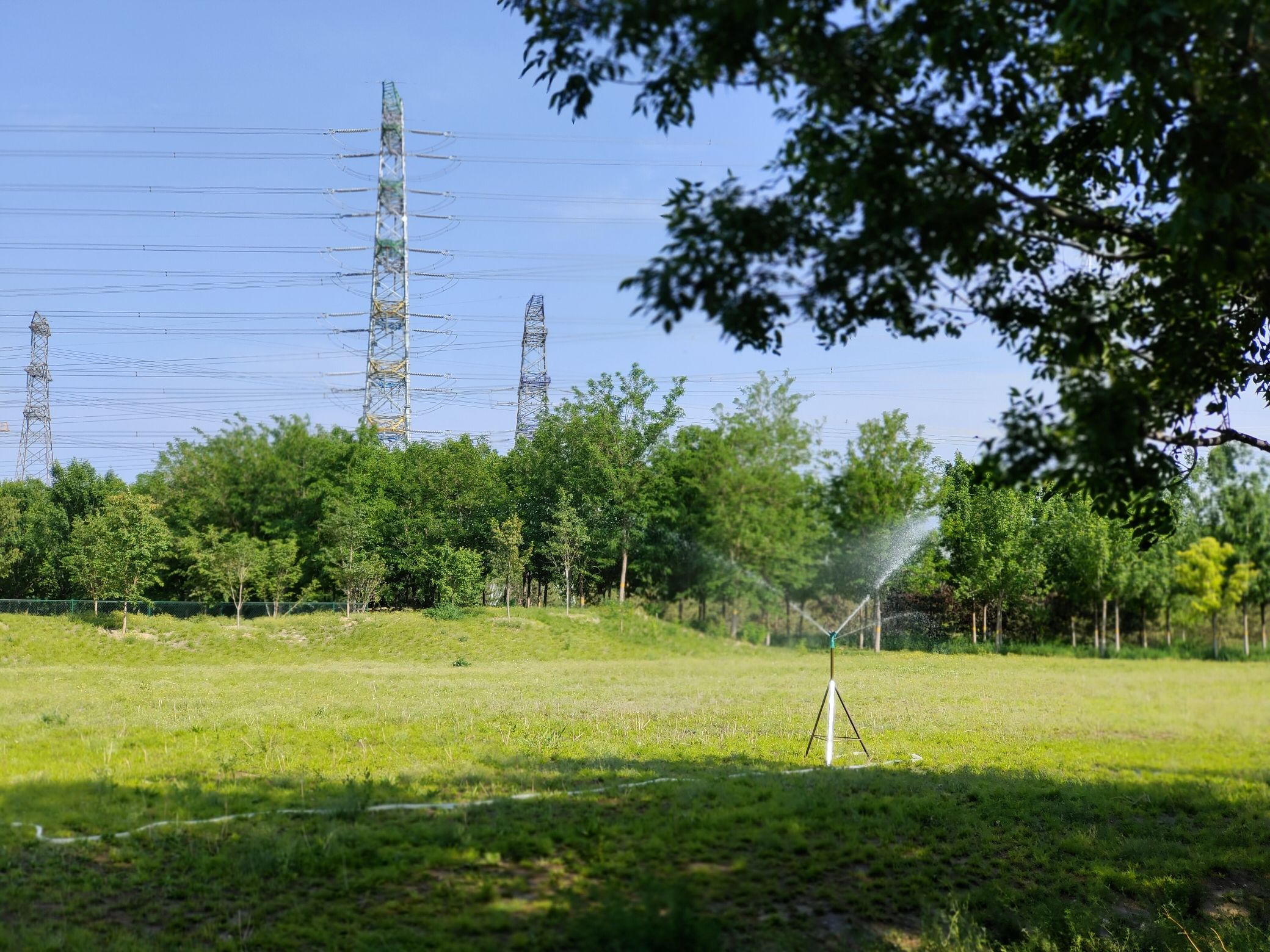 狼垡城市森林公园旅行图片 2