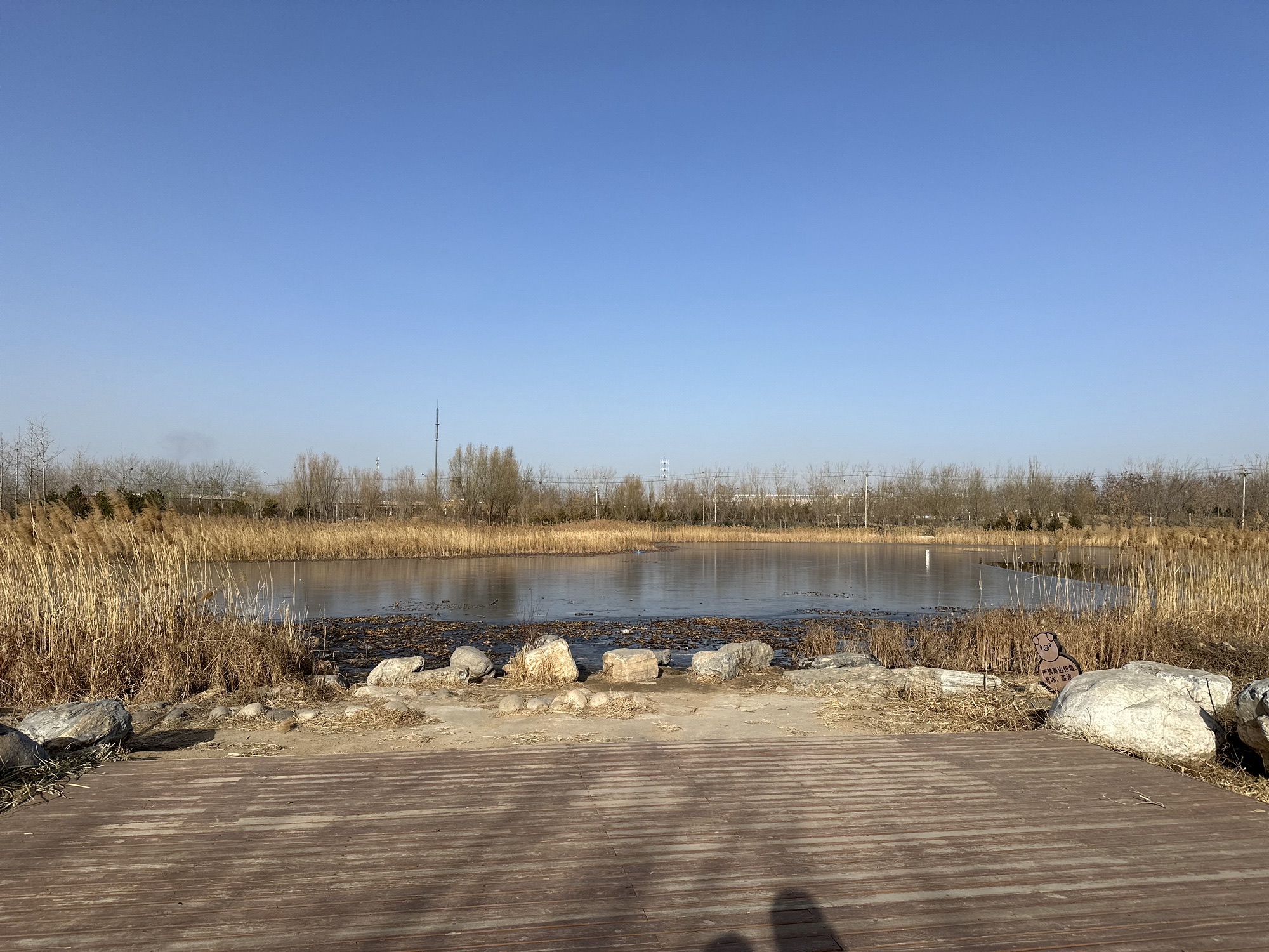 狼垡城市森林公园旅行图片 3