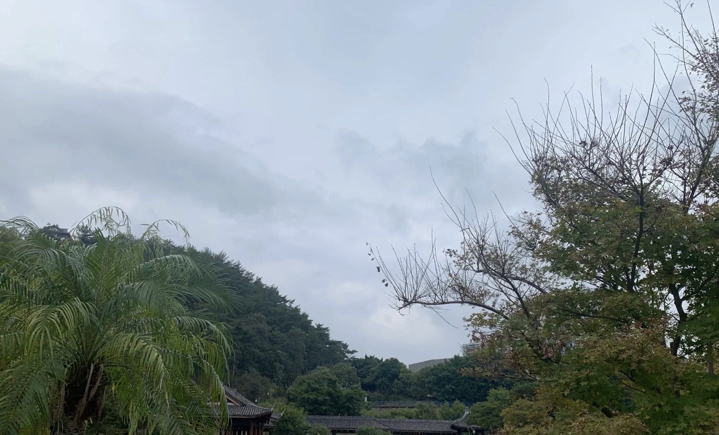 玉屏公园旅行图片 1