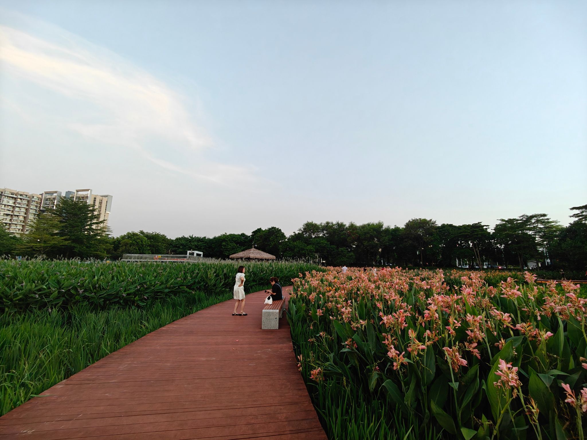 鹅颈水湿地公园旅行图片 2