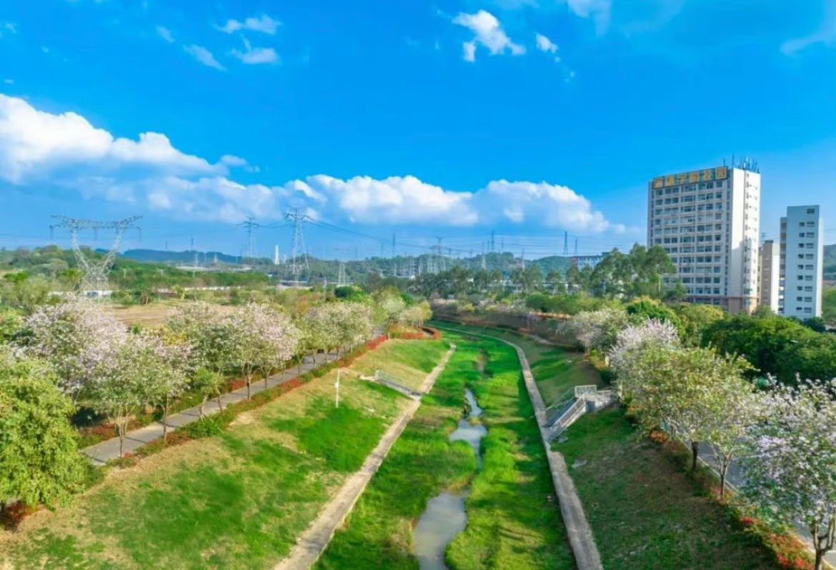 鹅颈水湿地公园旅行图片 1