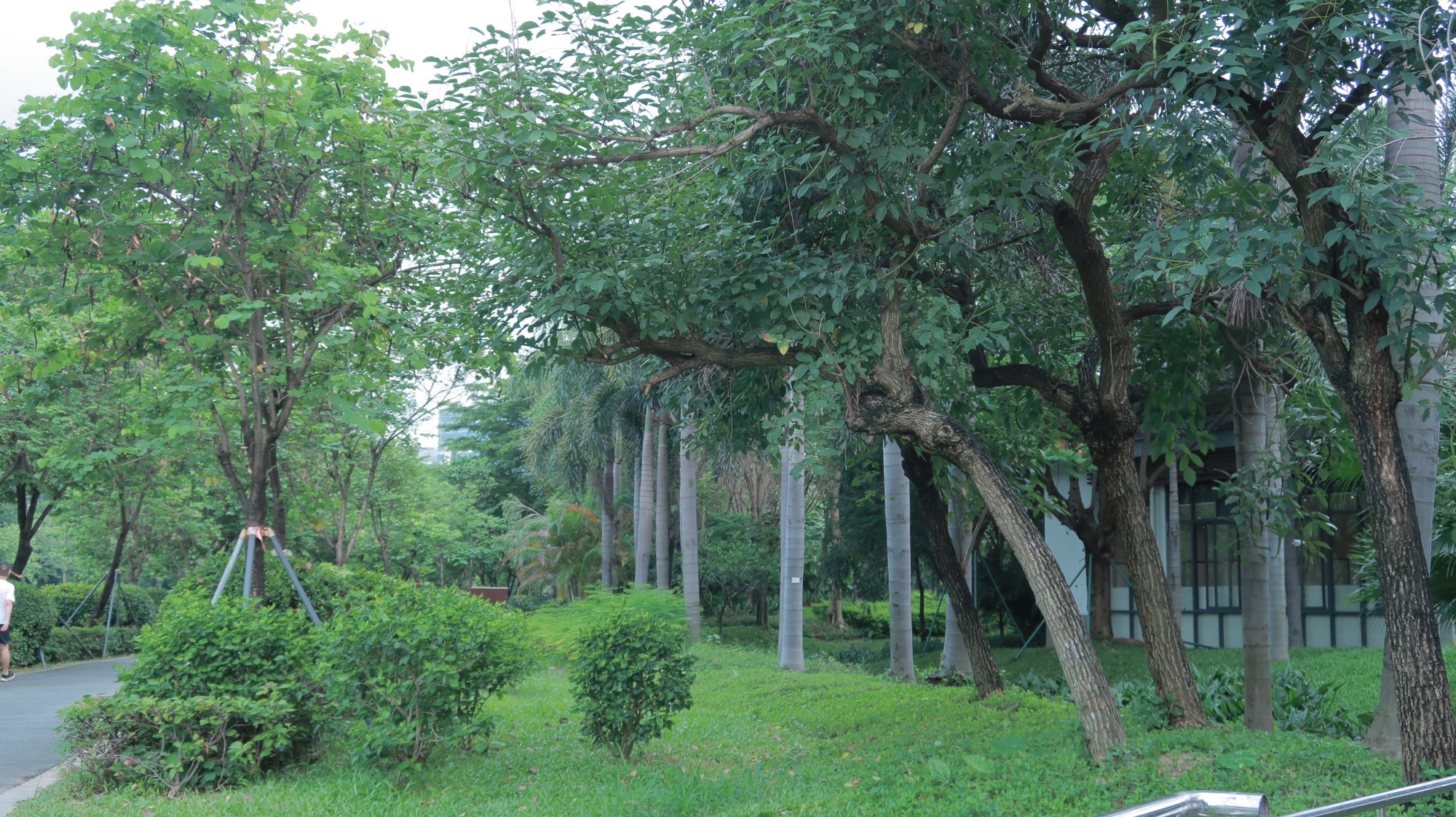 鹅颈水湿地公园旅行图片 3