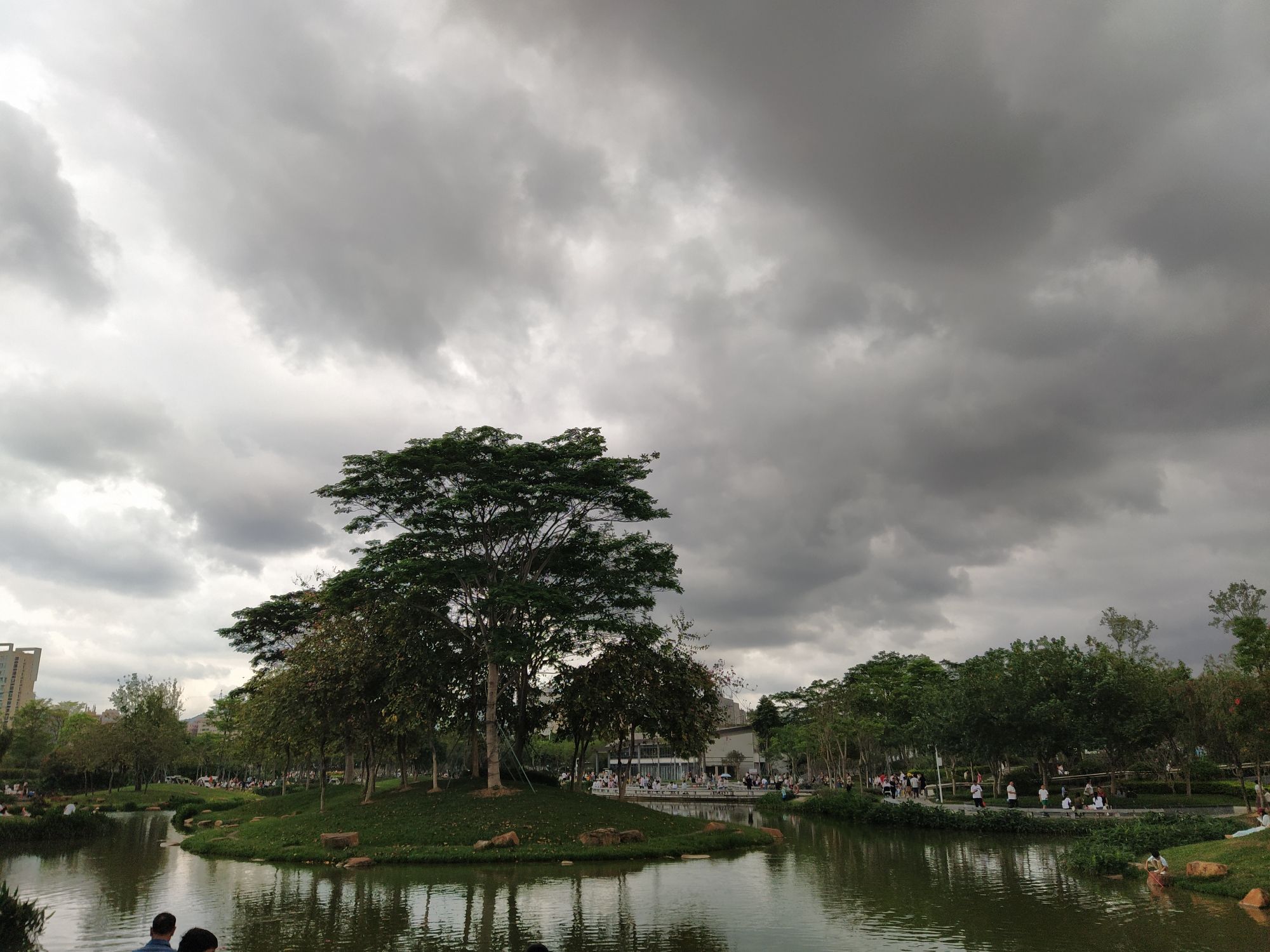 鹅颈水湿地公园旅行图片 1