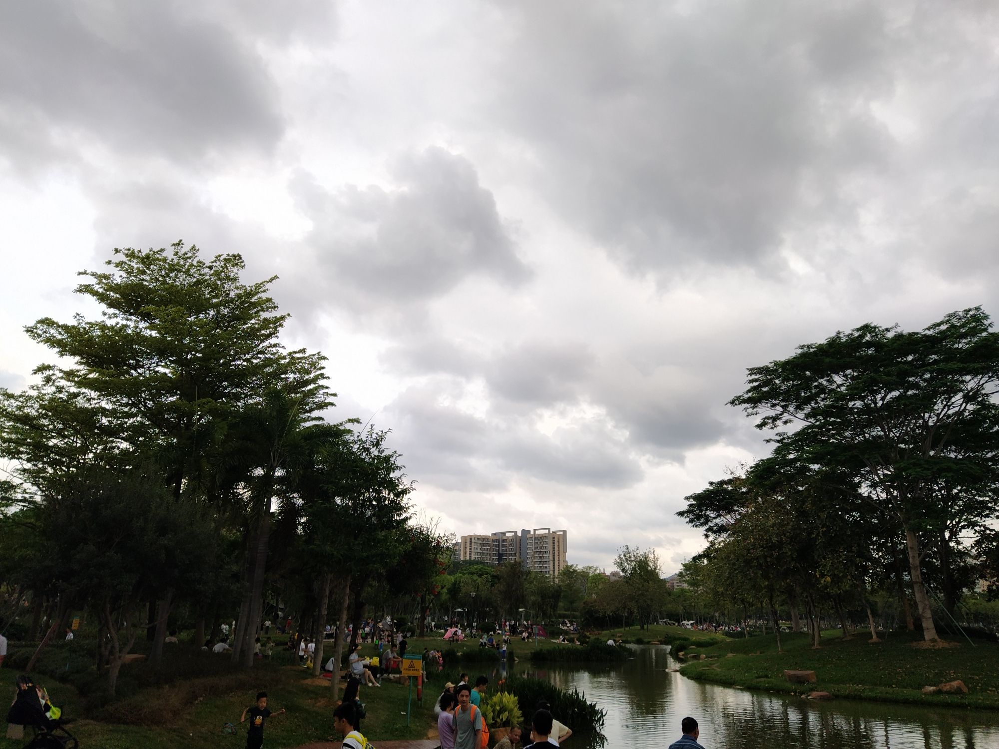 鹅颈水湿地公园旅行图片 2