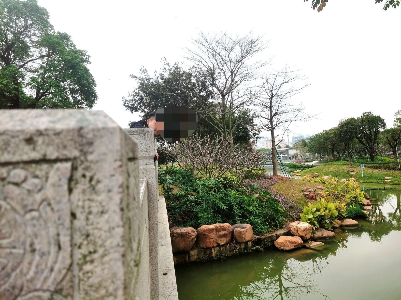 鹅颈水湿地公园旅行图片 2