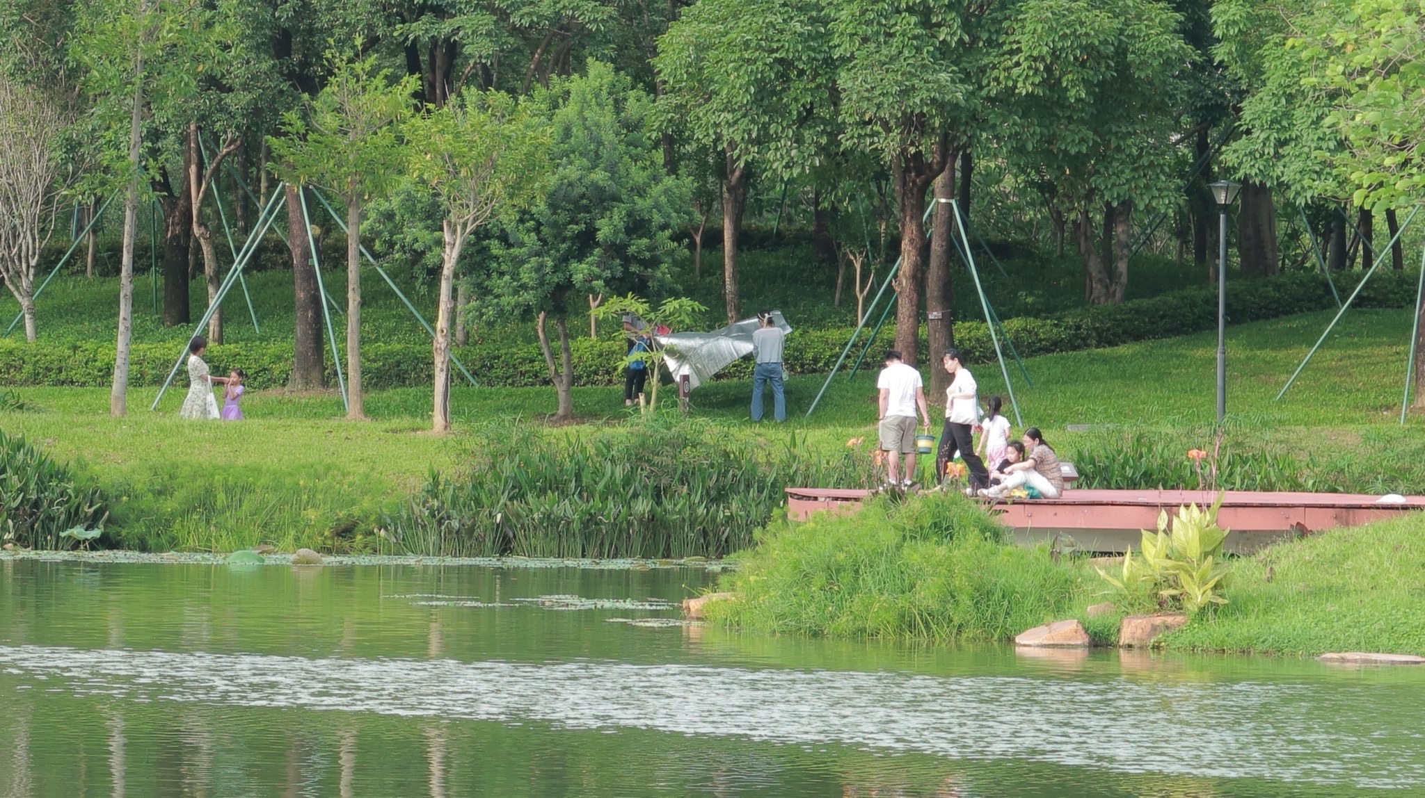 鹅颈水湿地公园旅行图片 1
