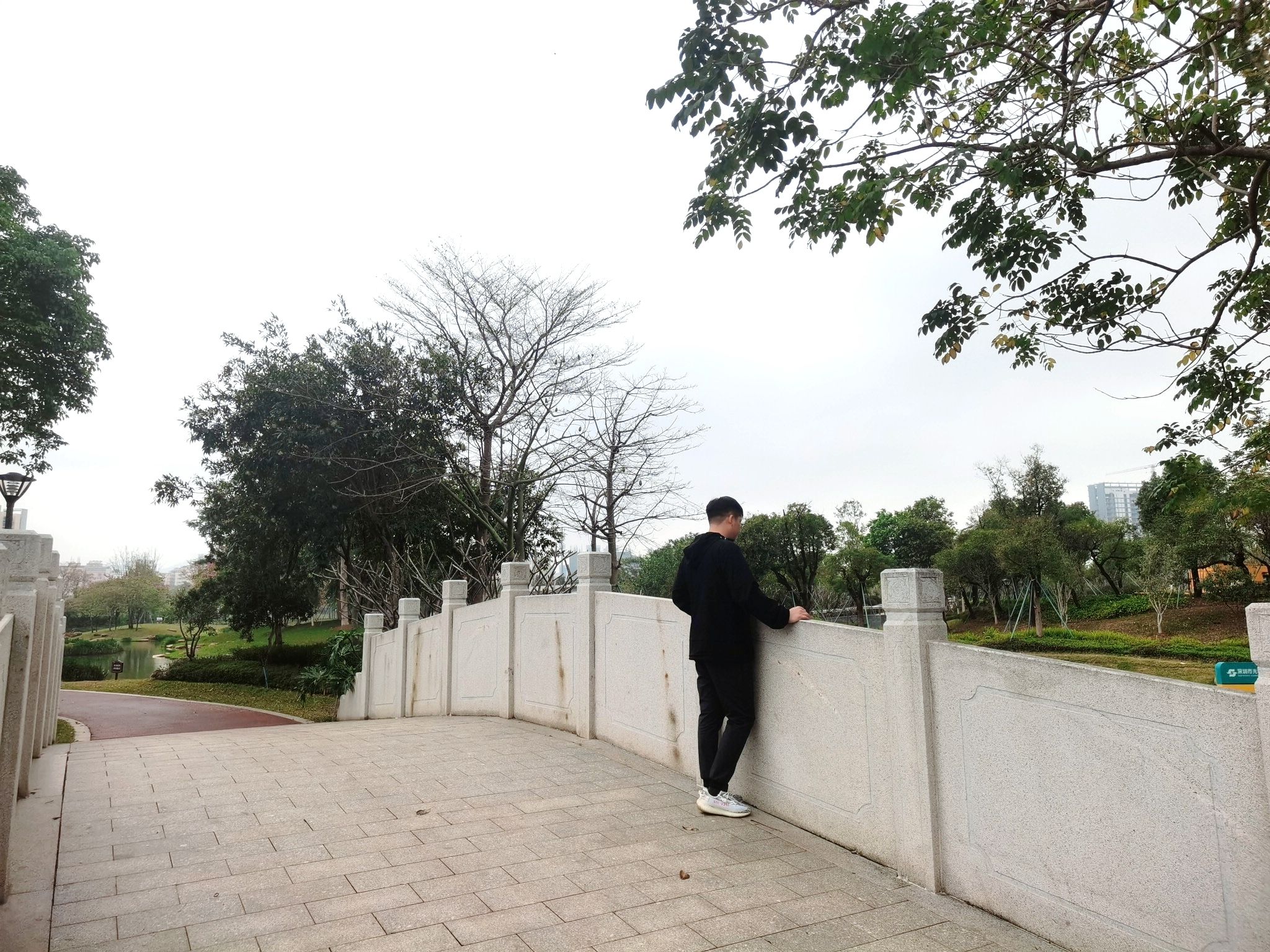 鹅颈水湿地公园旅行图片 1