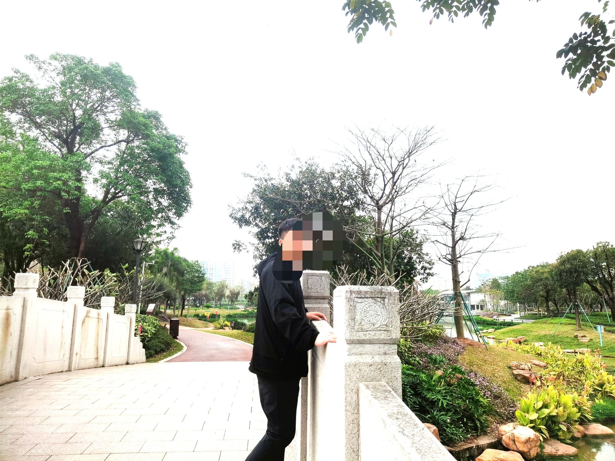 鹅颈水湿地公园旅行图片 3