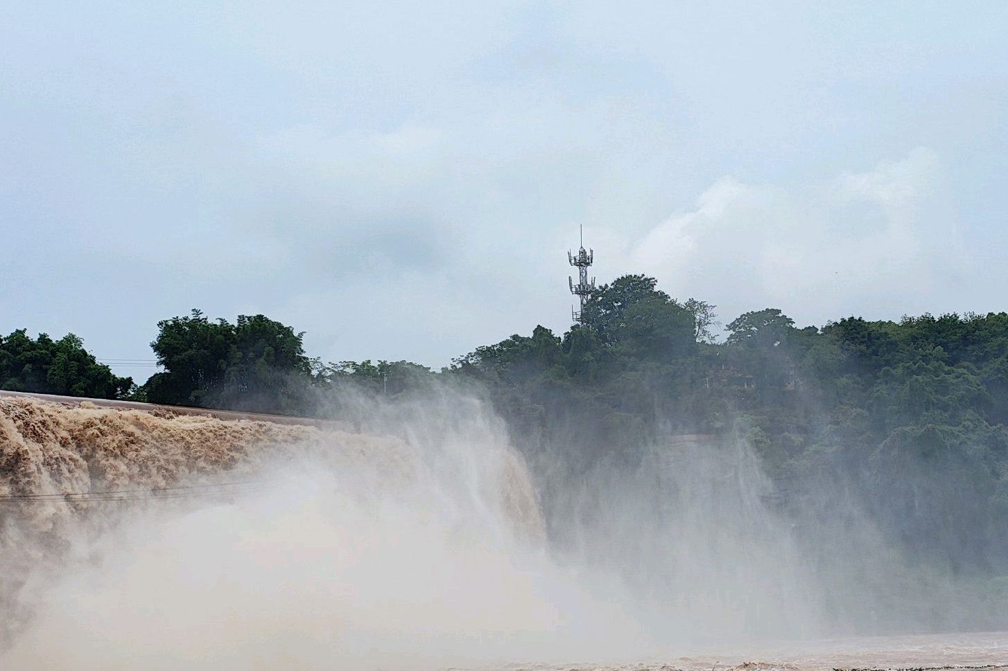 大磨滩湿地公园旅行图片 1