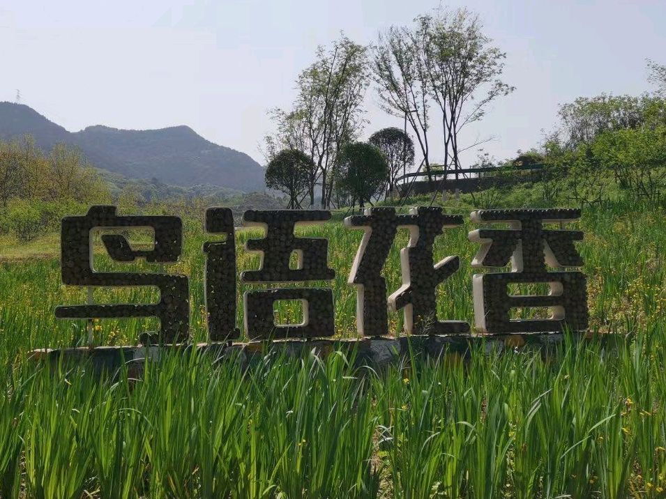 大磨滩湿地公园旅行图片 3