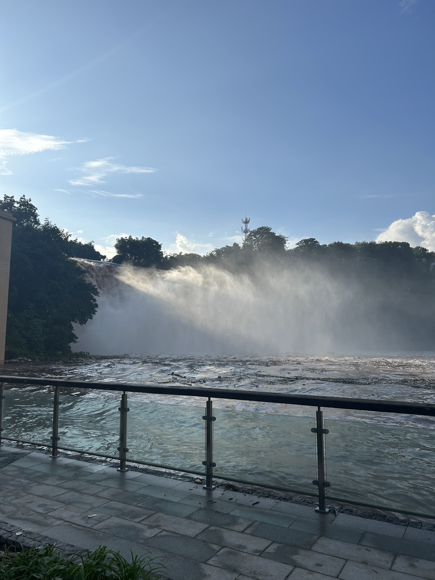 大磨滩湿地公园旅行图片 1