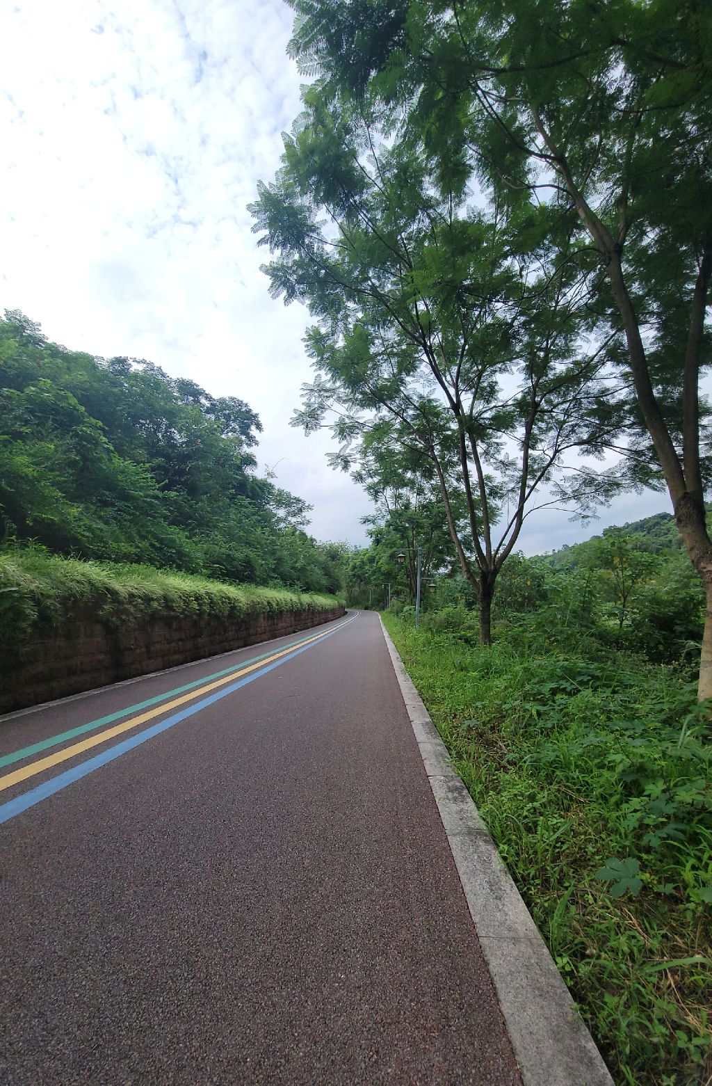 大磨滩湿地公园旅行图片 3