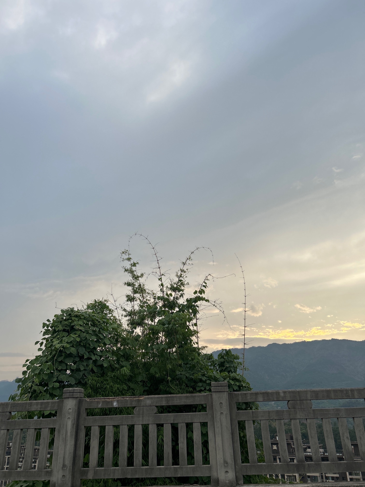大磨滩湿地公园旅行图片 3