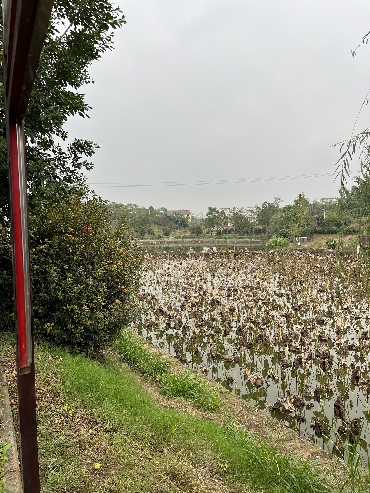 九台山湿地公园旅行图片 2