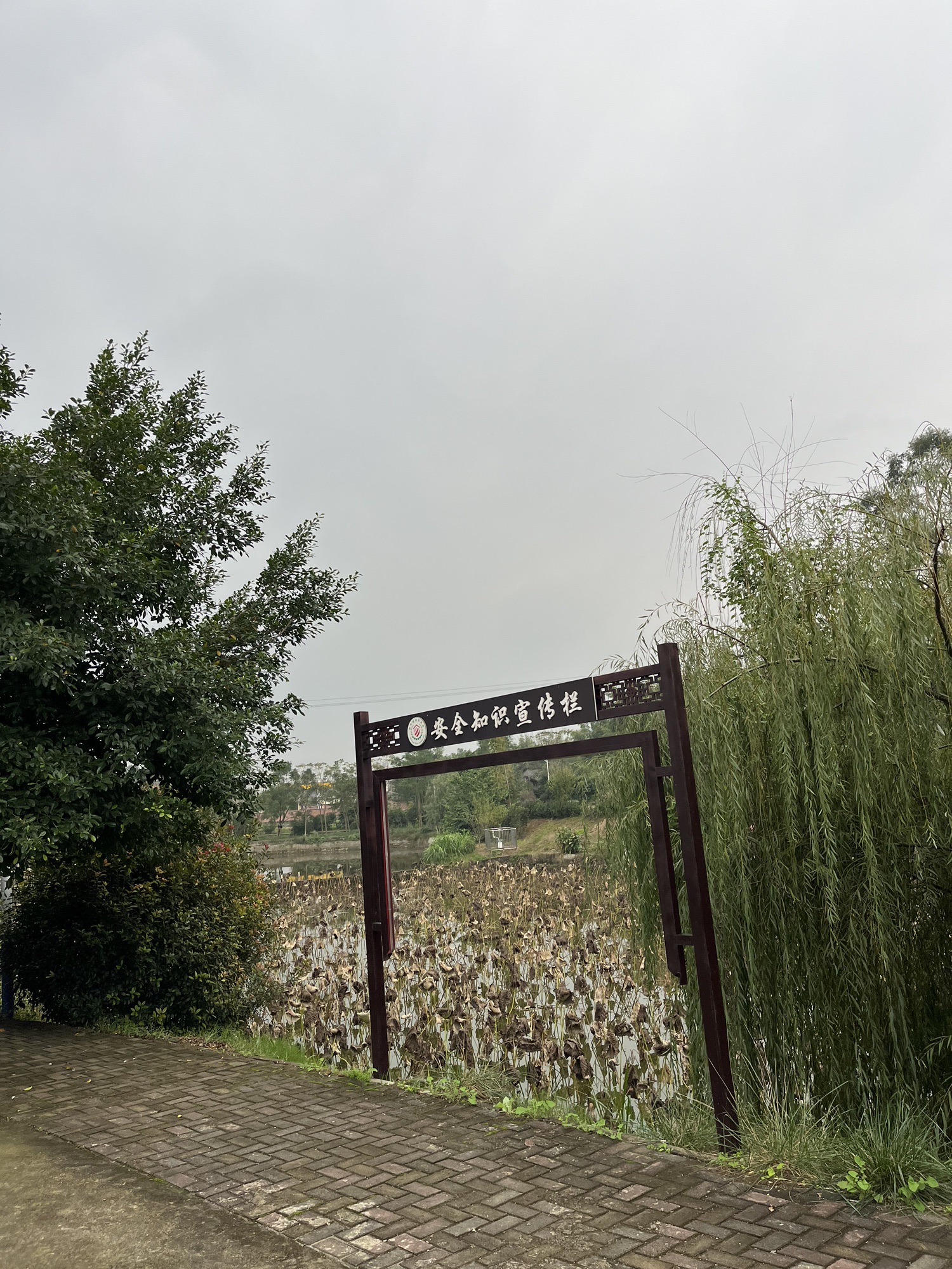 九台山湿地公园旅行图片 1