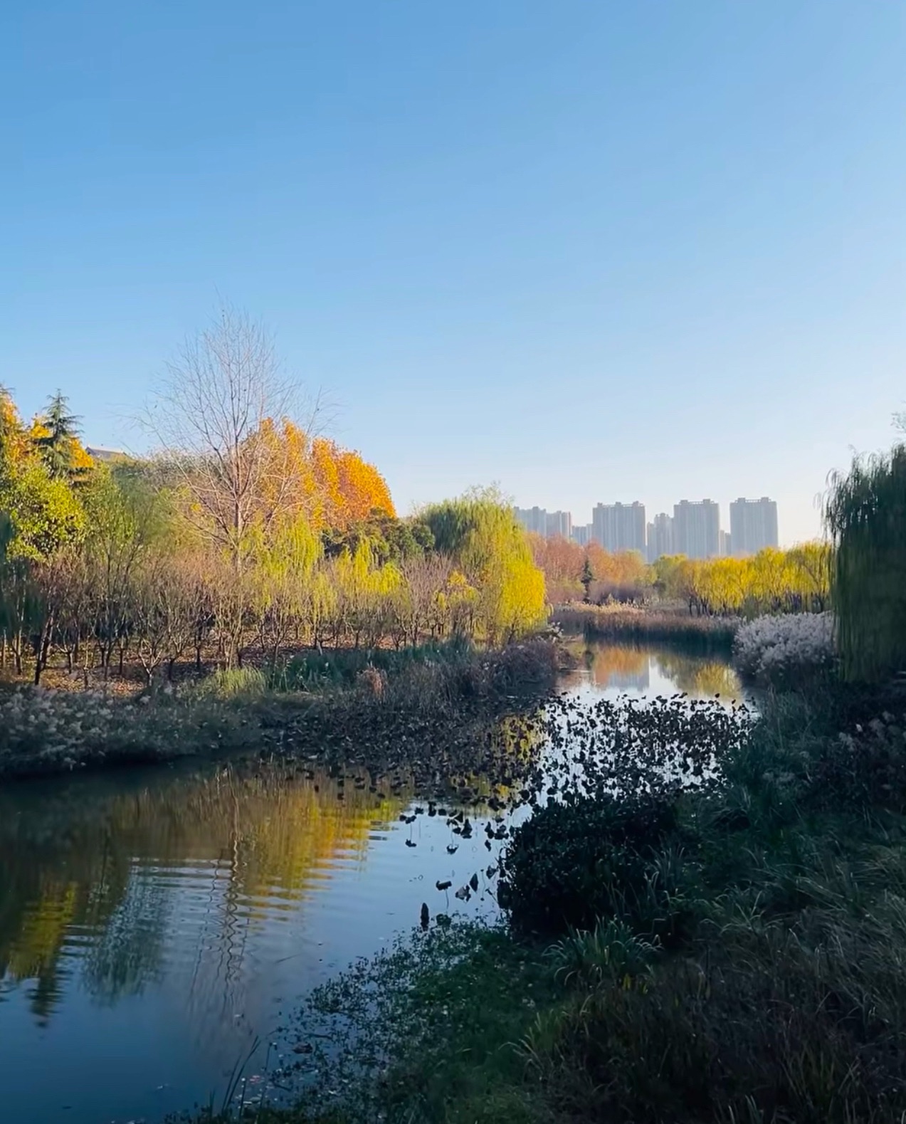 高铁运动公园旅行图片 2