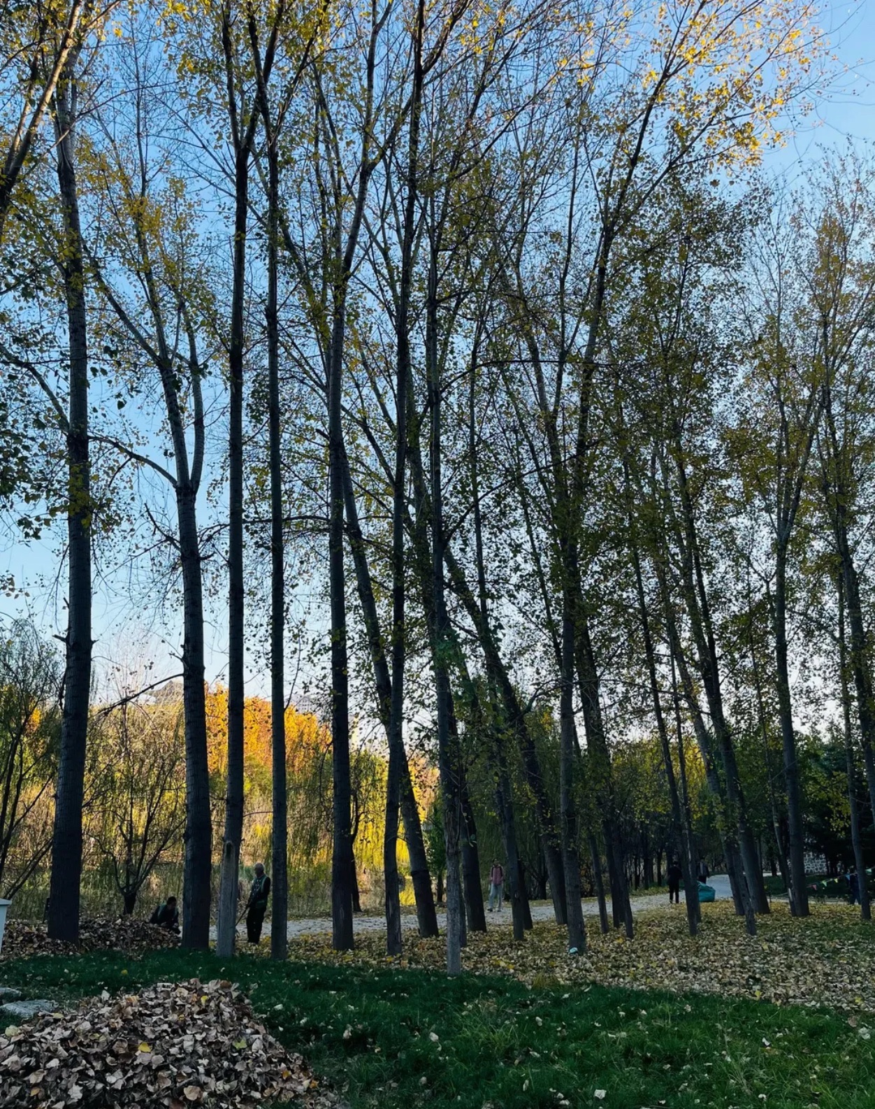 高铁运动公园旅行图片 1
