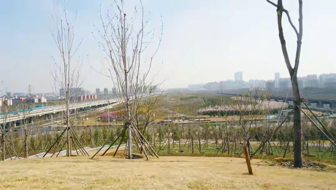高铁运动公园旅行图片 1