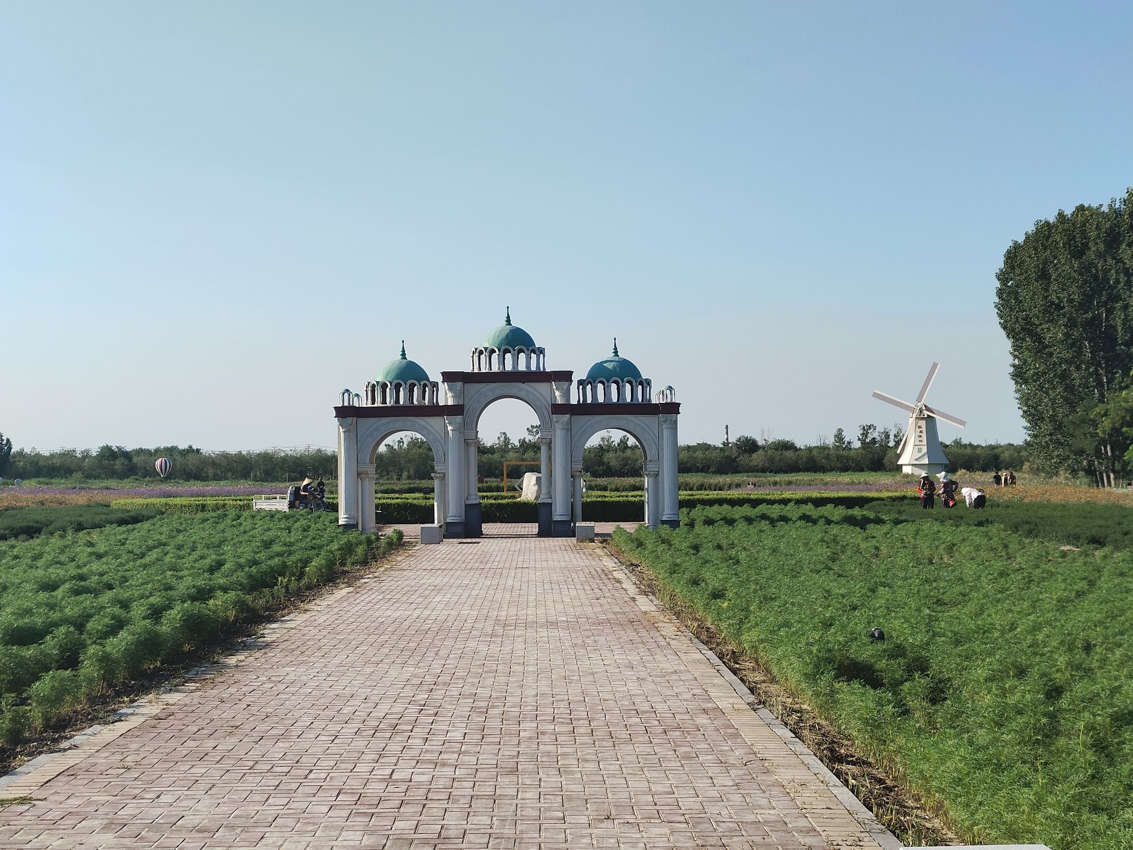锦绣花海旅行图片 3